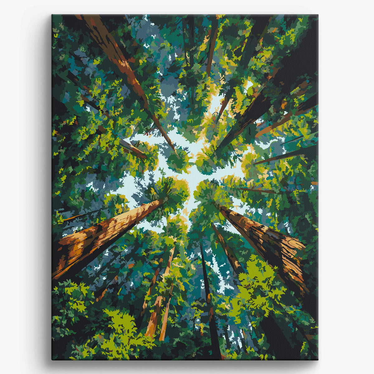 Forest Glow | Paint by Numbers Kit by Craftoria