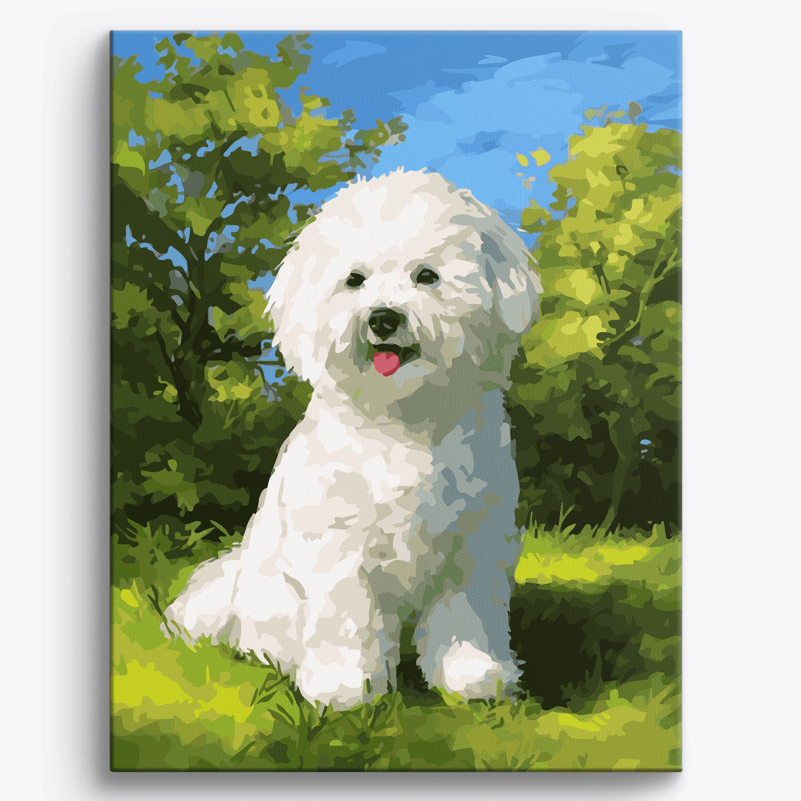 Smiling Bichon Frise No Frame / 40x50cm