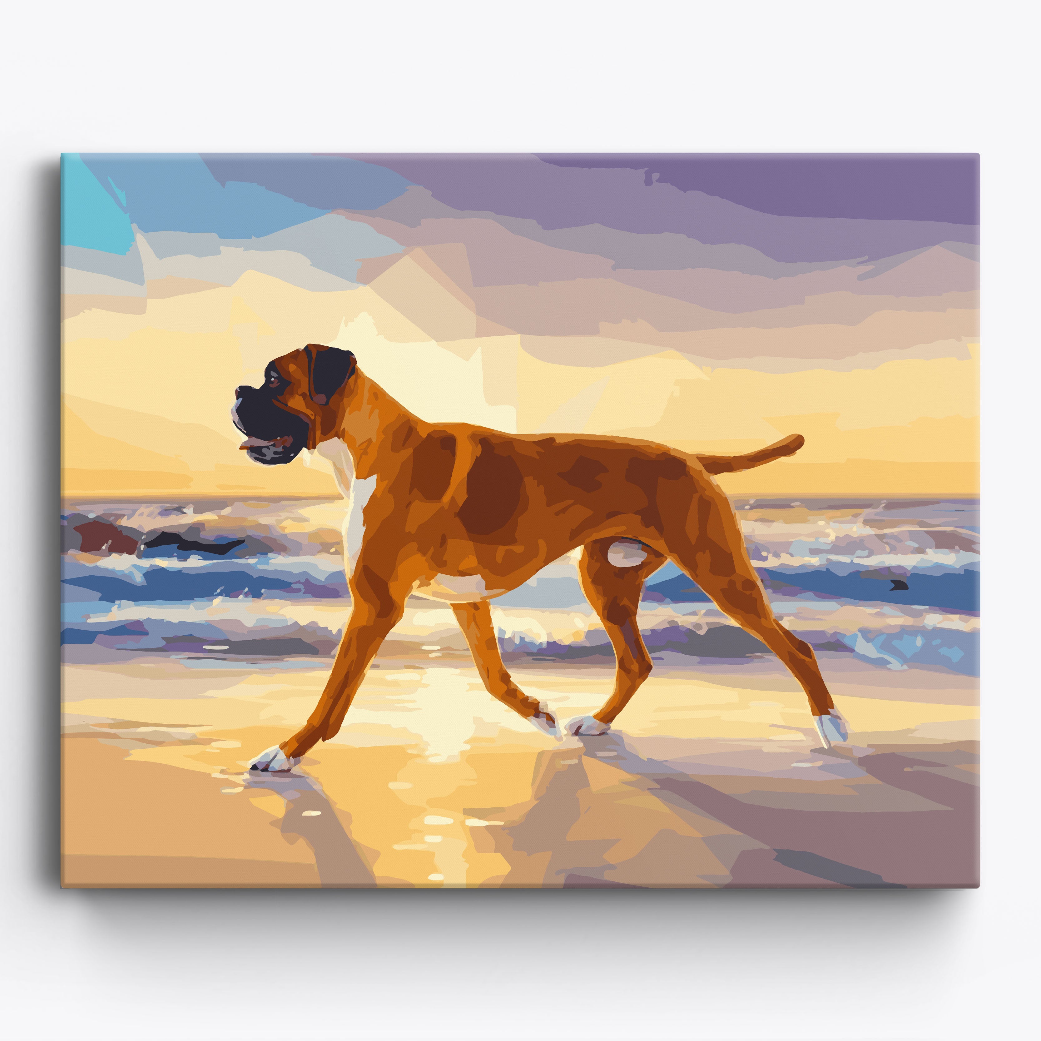 Boxer Beach No Frame / 50x40cm
