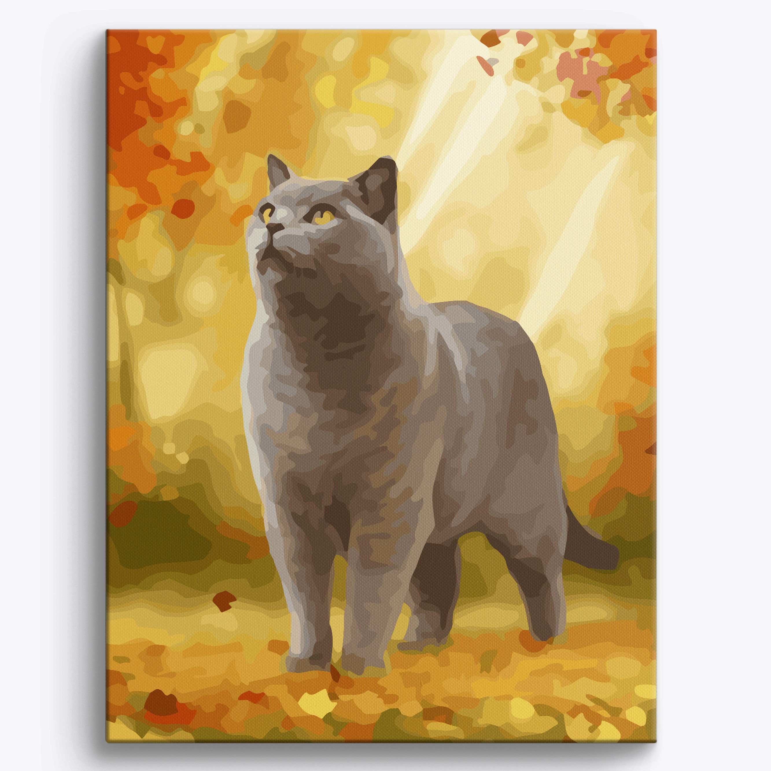 Autumn British Shorthair No Frame / 40x50cm