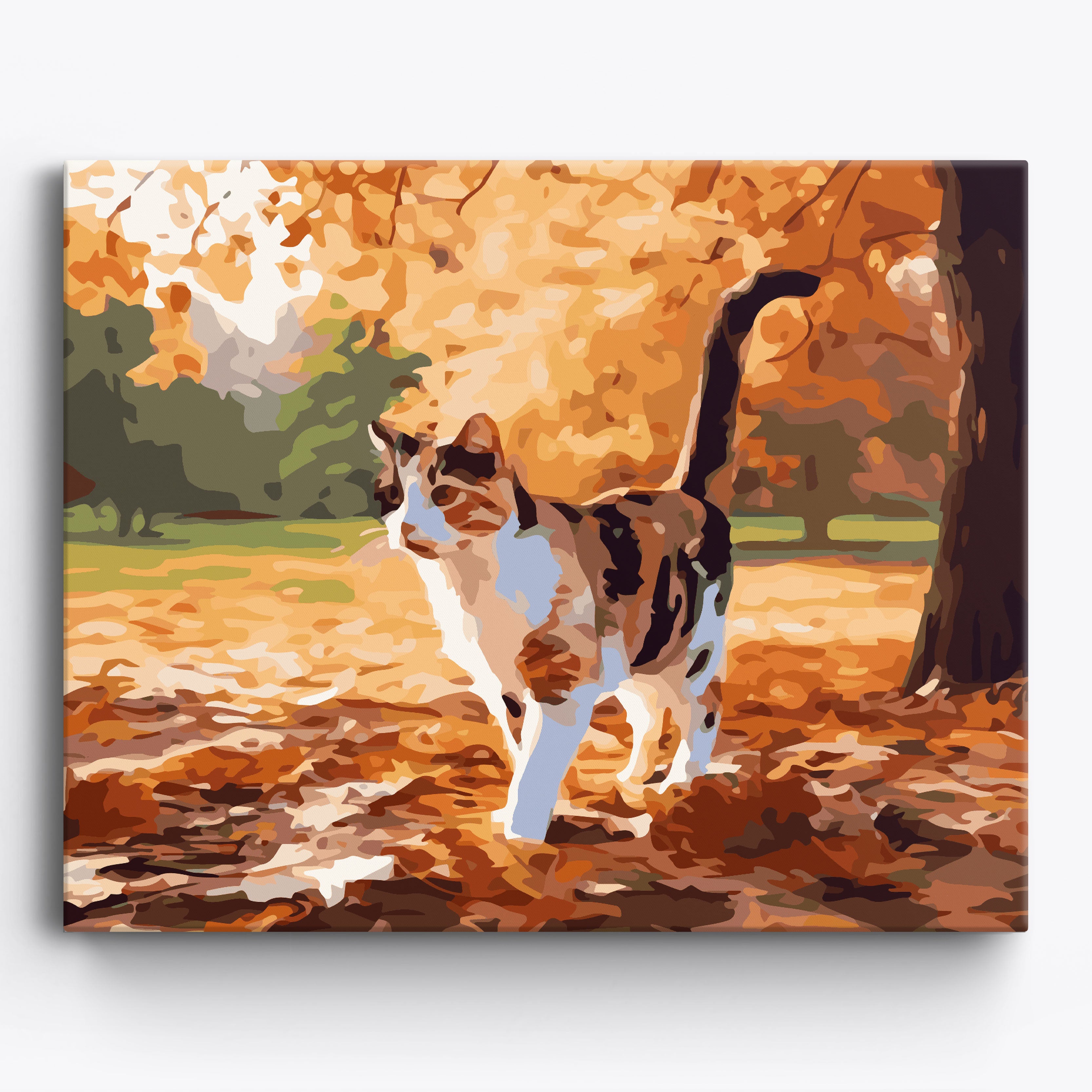 Camouflage Kitten No Frame / 50x40cm