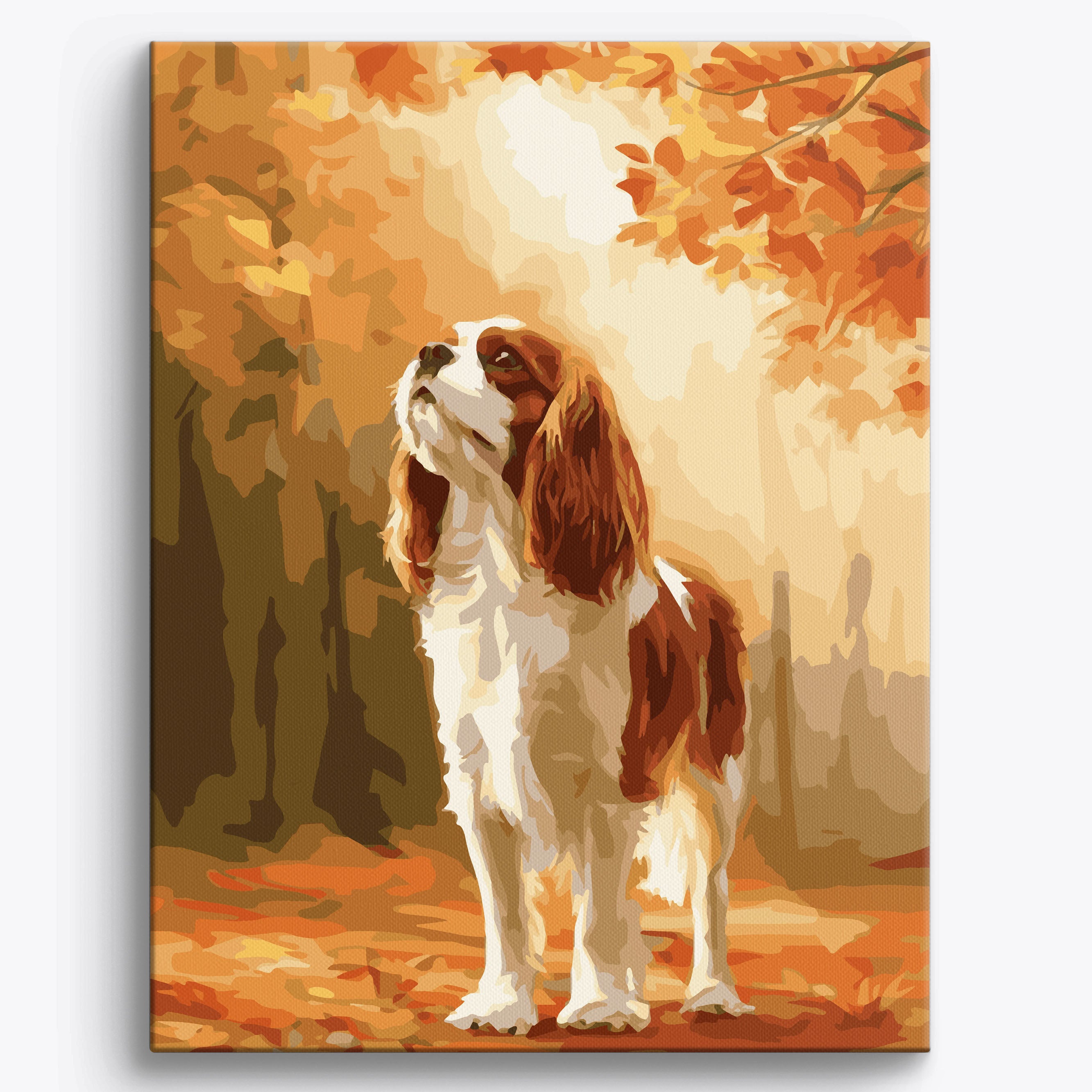 Cavalier King Autumn No Frame / 40x50cm