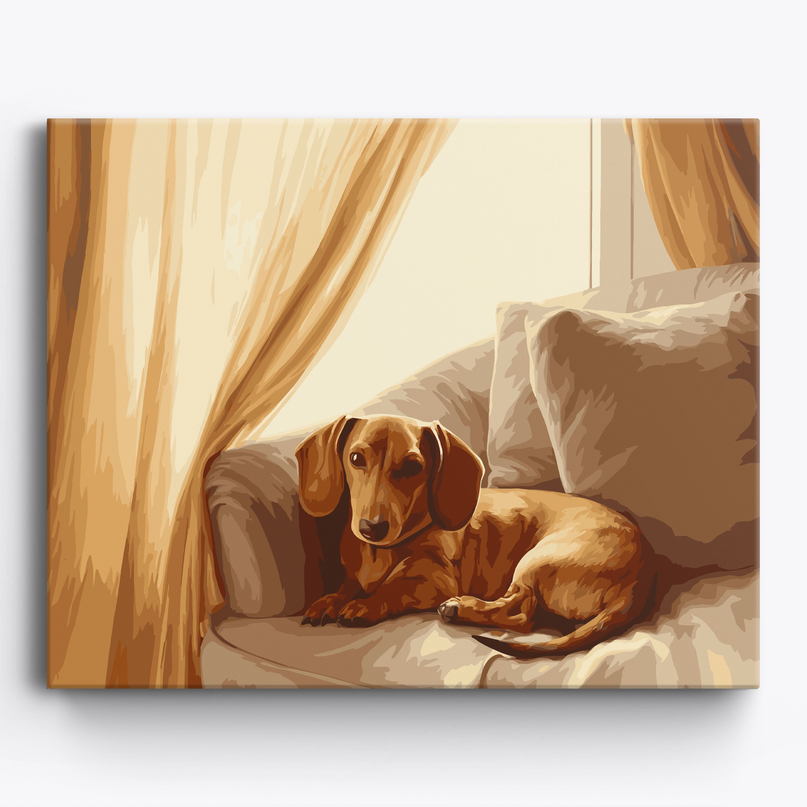 Dachshund Gaze Framed / 50x40cm