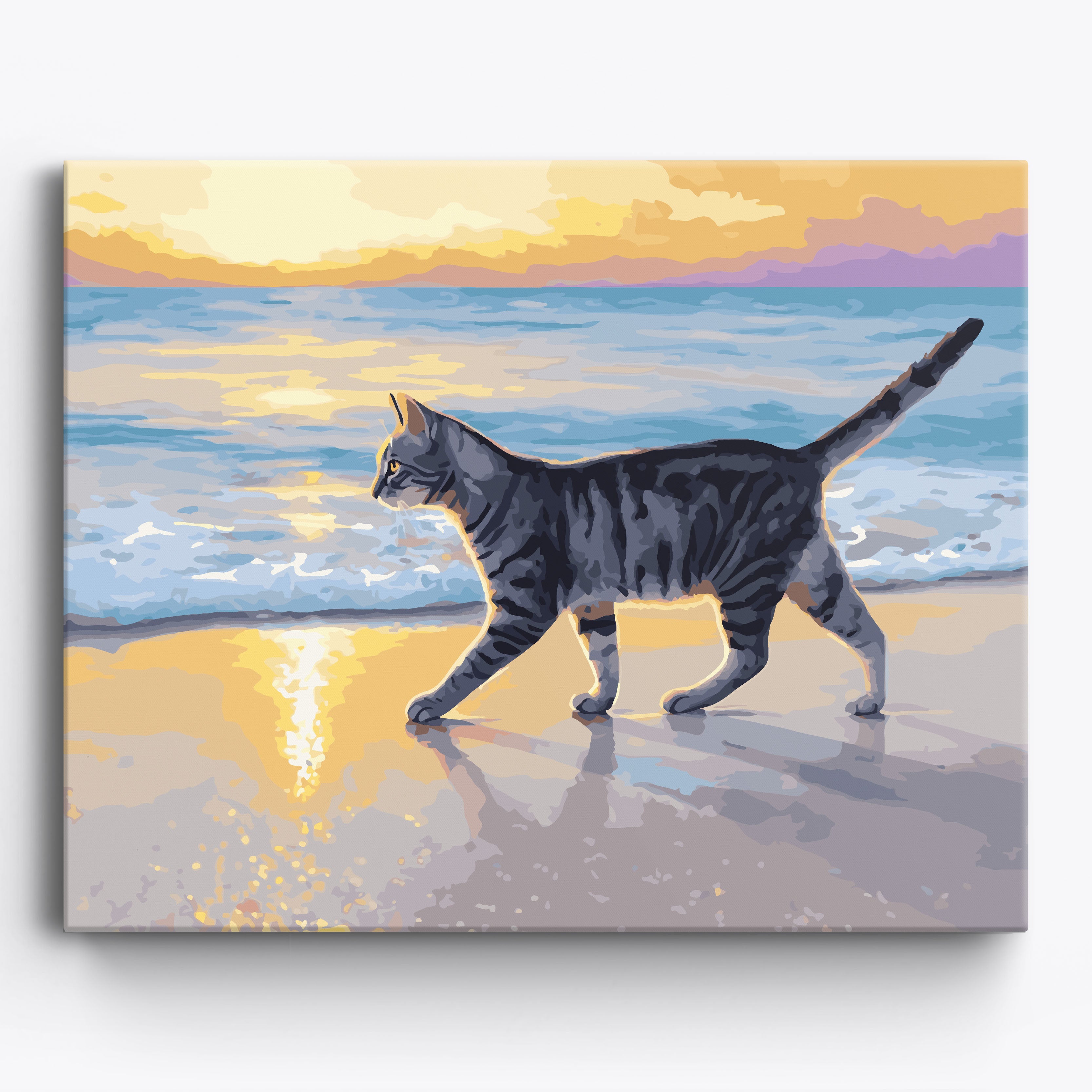Sunset Tabby Framed / 50x40cm