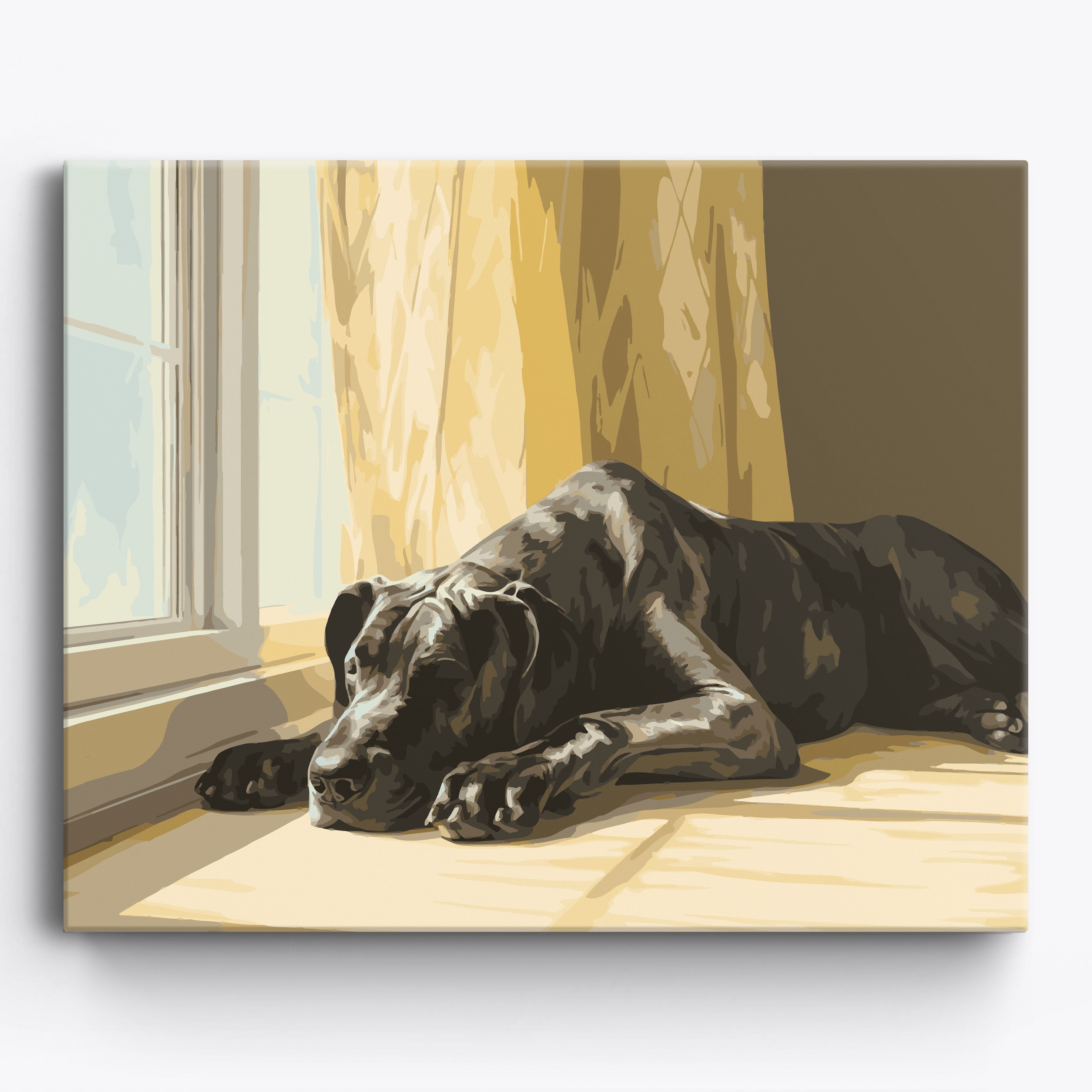 Great Dane Nap No Frame / 50x40cm