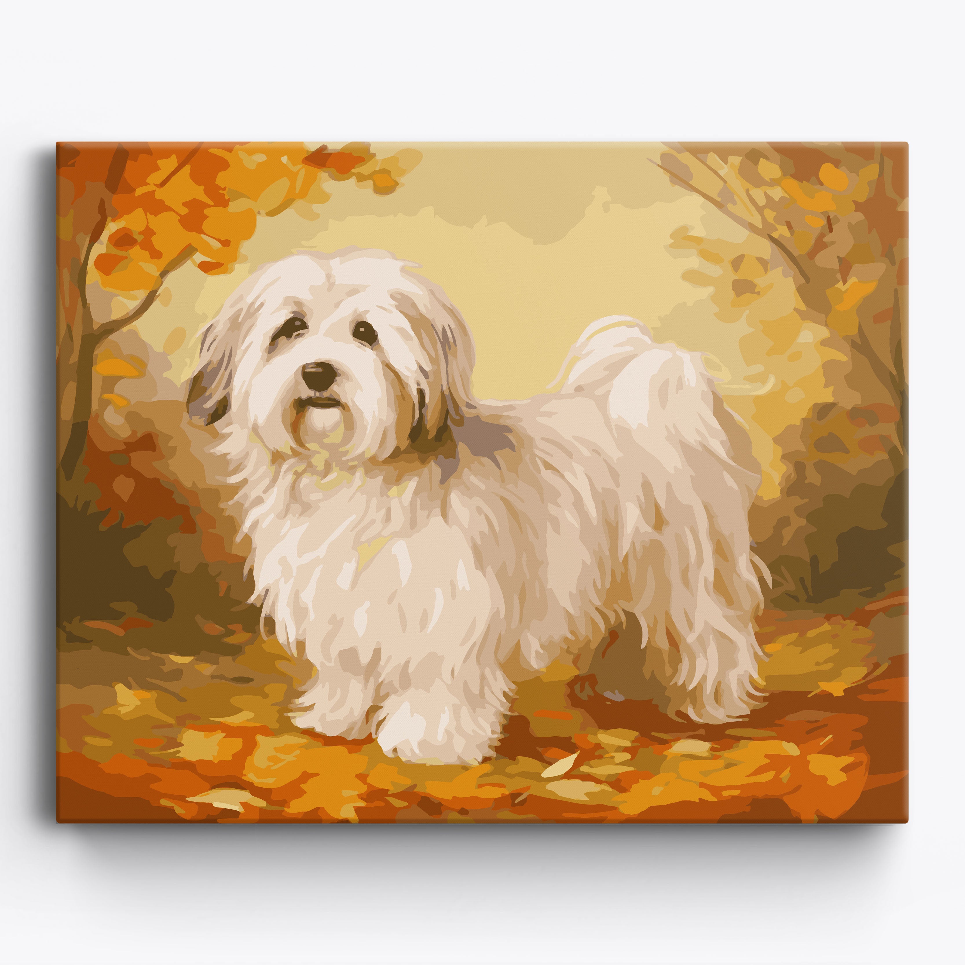 Havanese Portrait Framed / 50x40cm