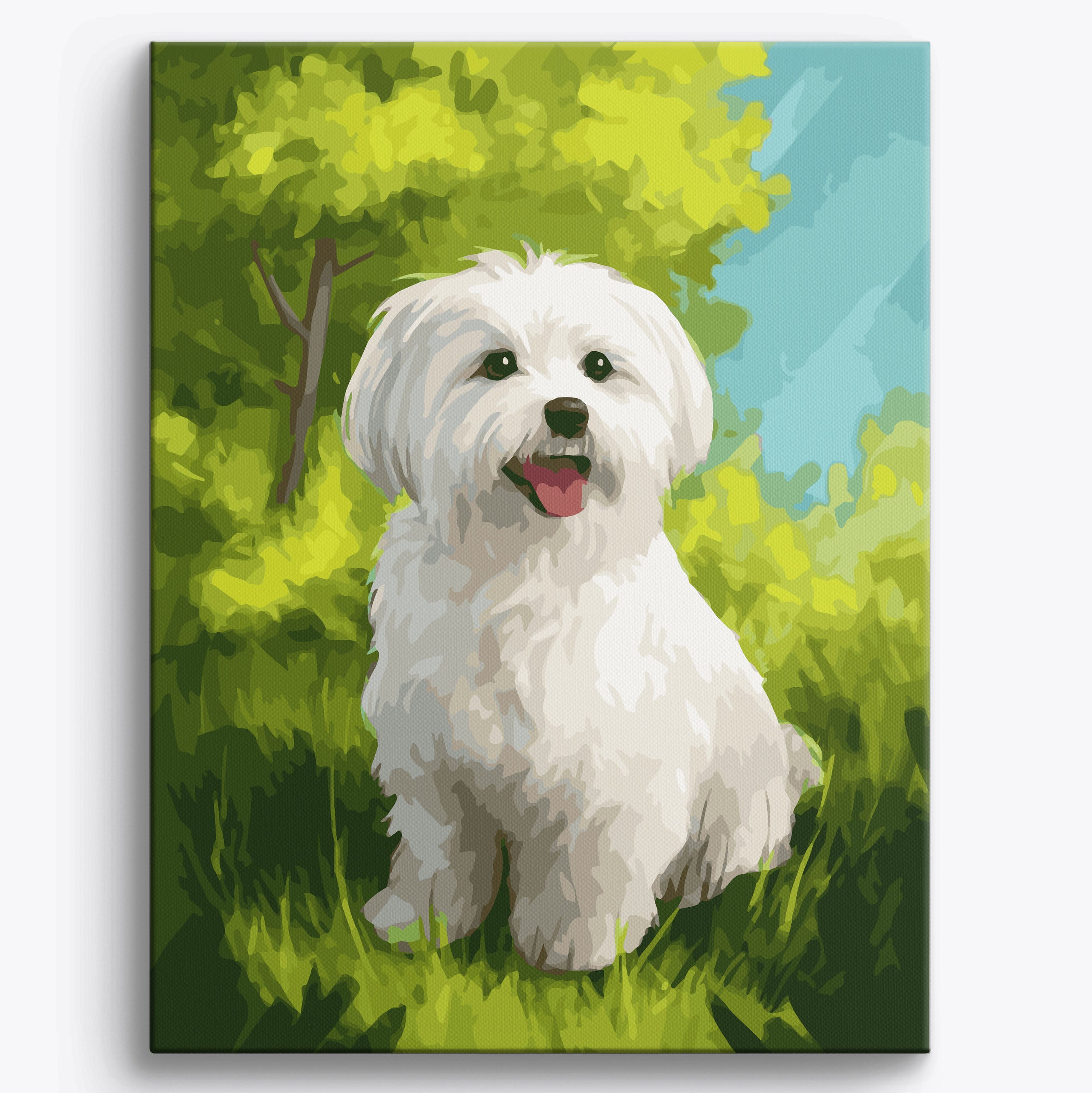 Maltese Meadow No Frame / 40x50cm