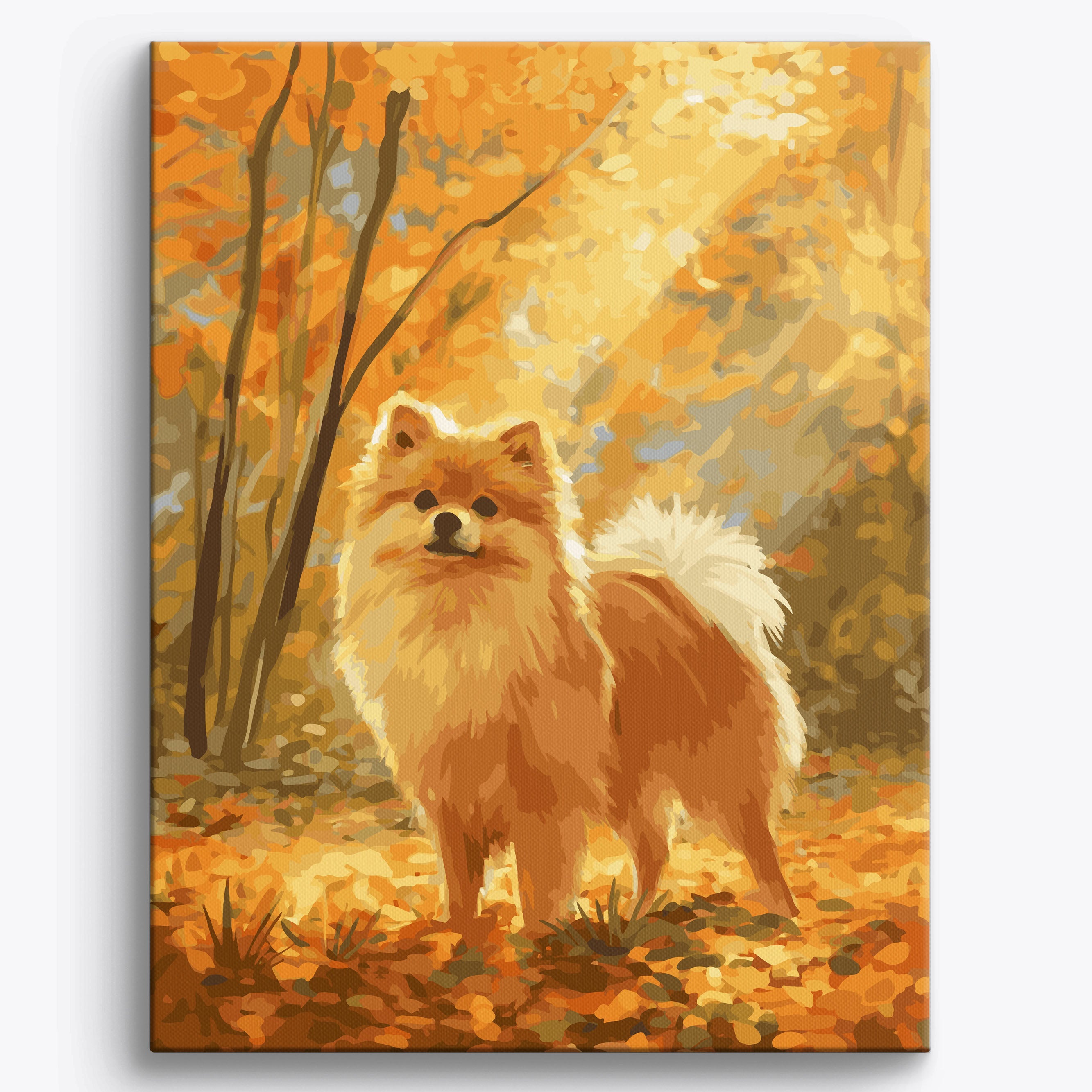 Pomeranian Fall No Frame / 40x50cm