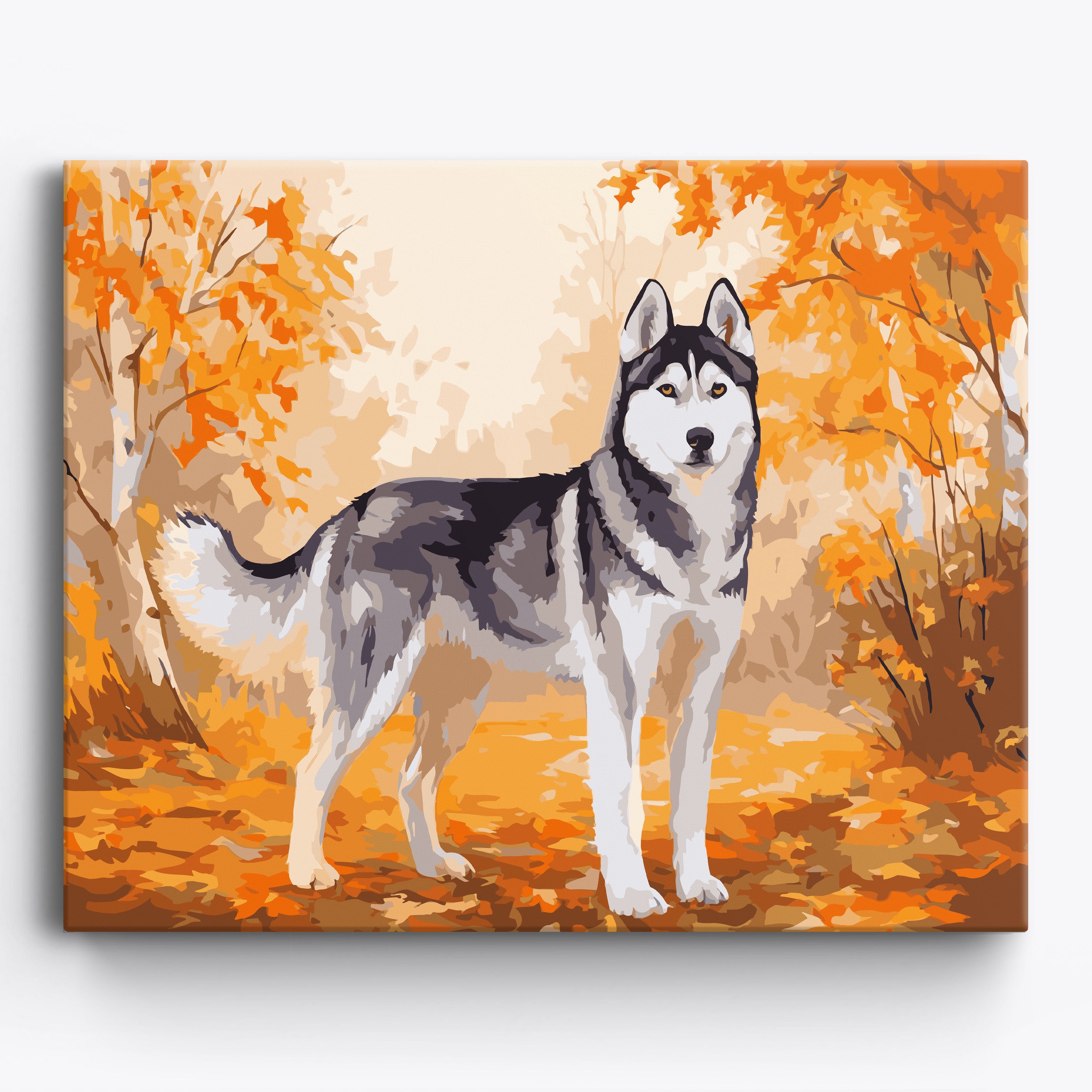 Fall Husky No Frame / 50x40cm