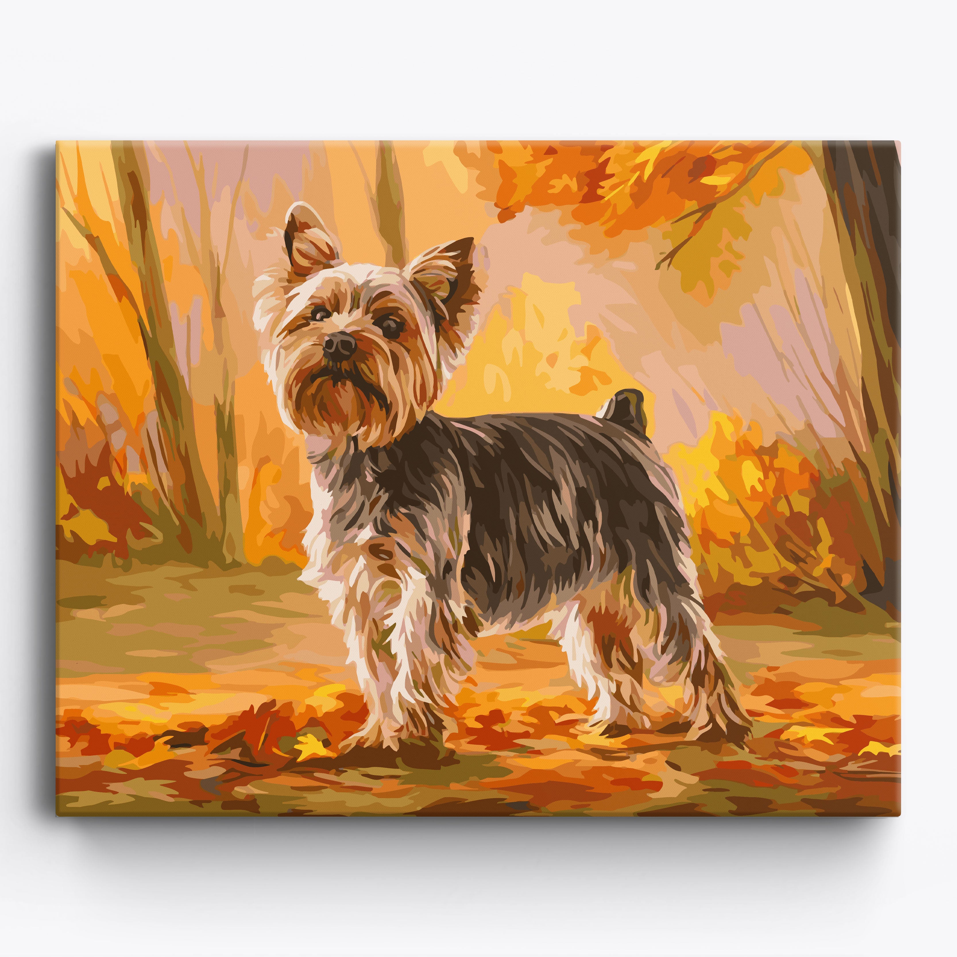 Proud Yorkshire Terrier Framed / 50x40cm