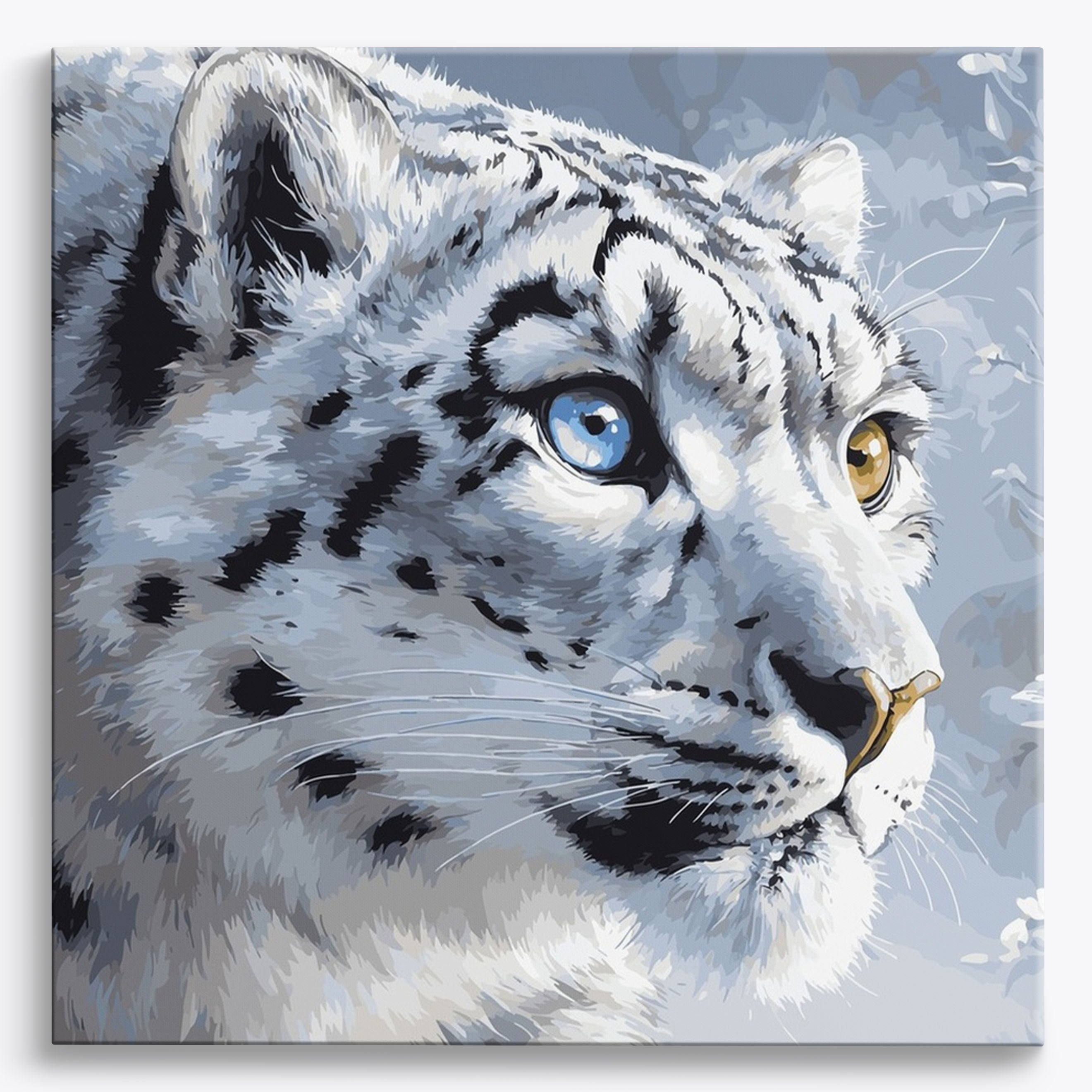 Snow Leopard