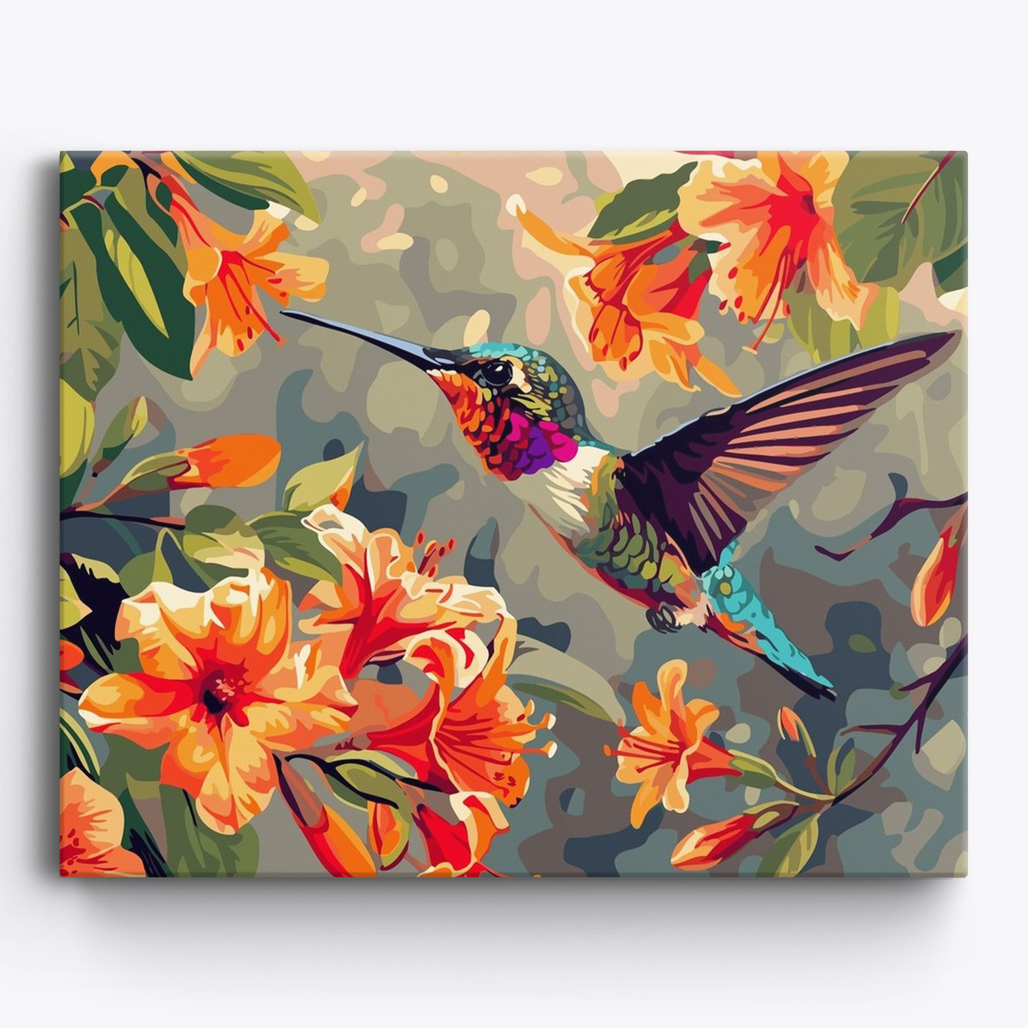 Hummingbird Hues
