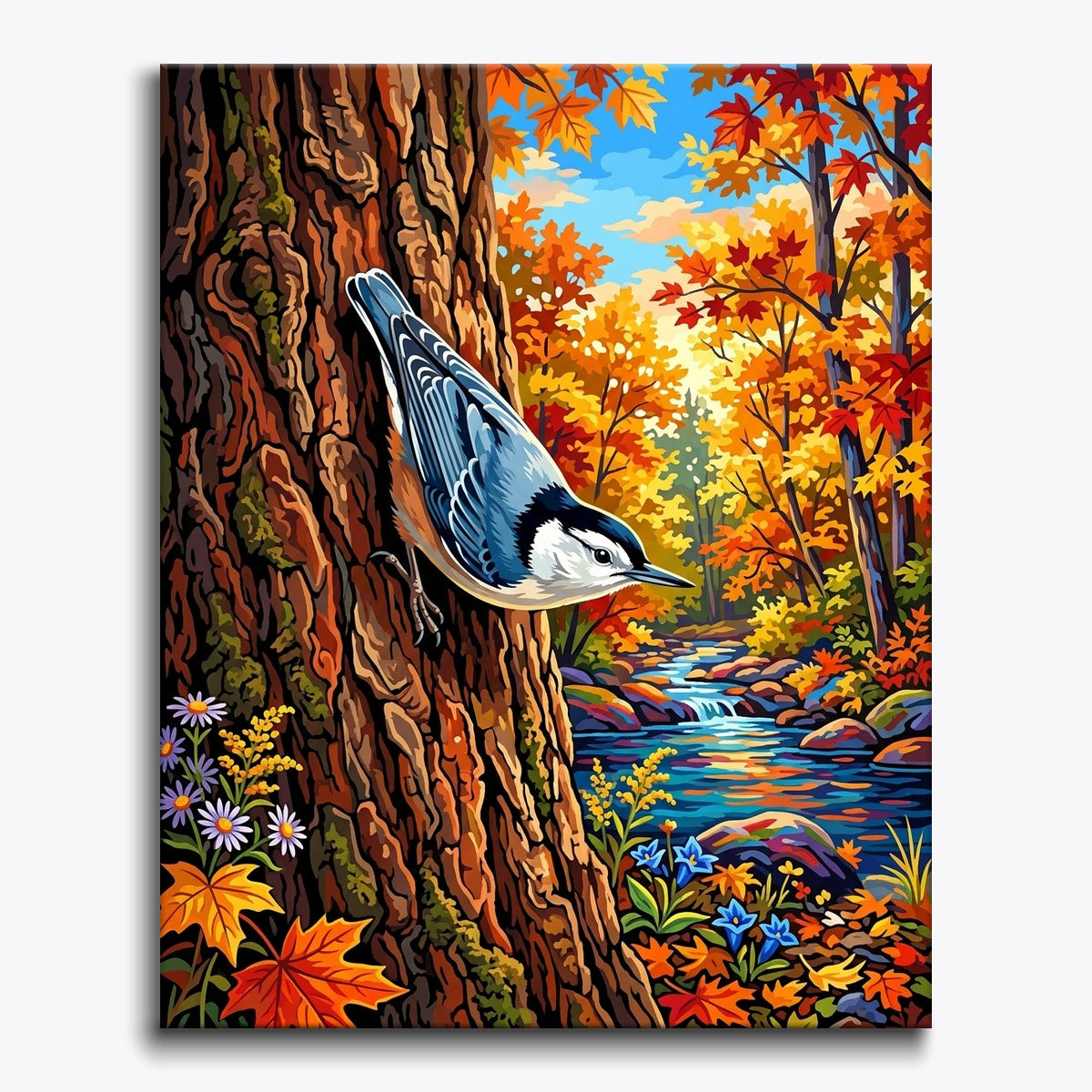 Maple Nuthatch paint by numbers kit