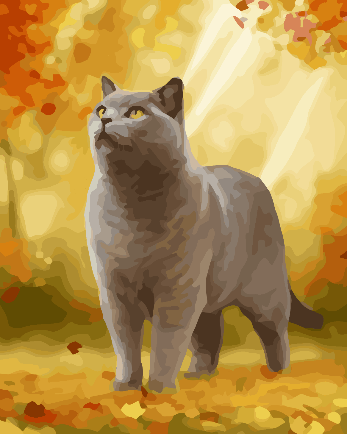 Autumn British Shorthair