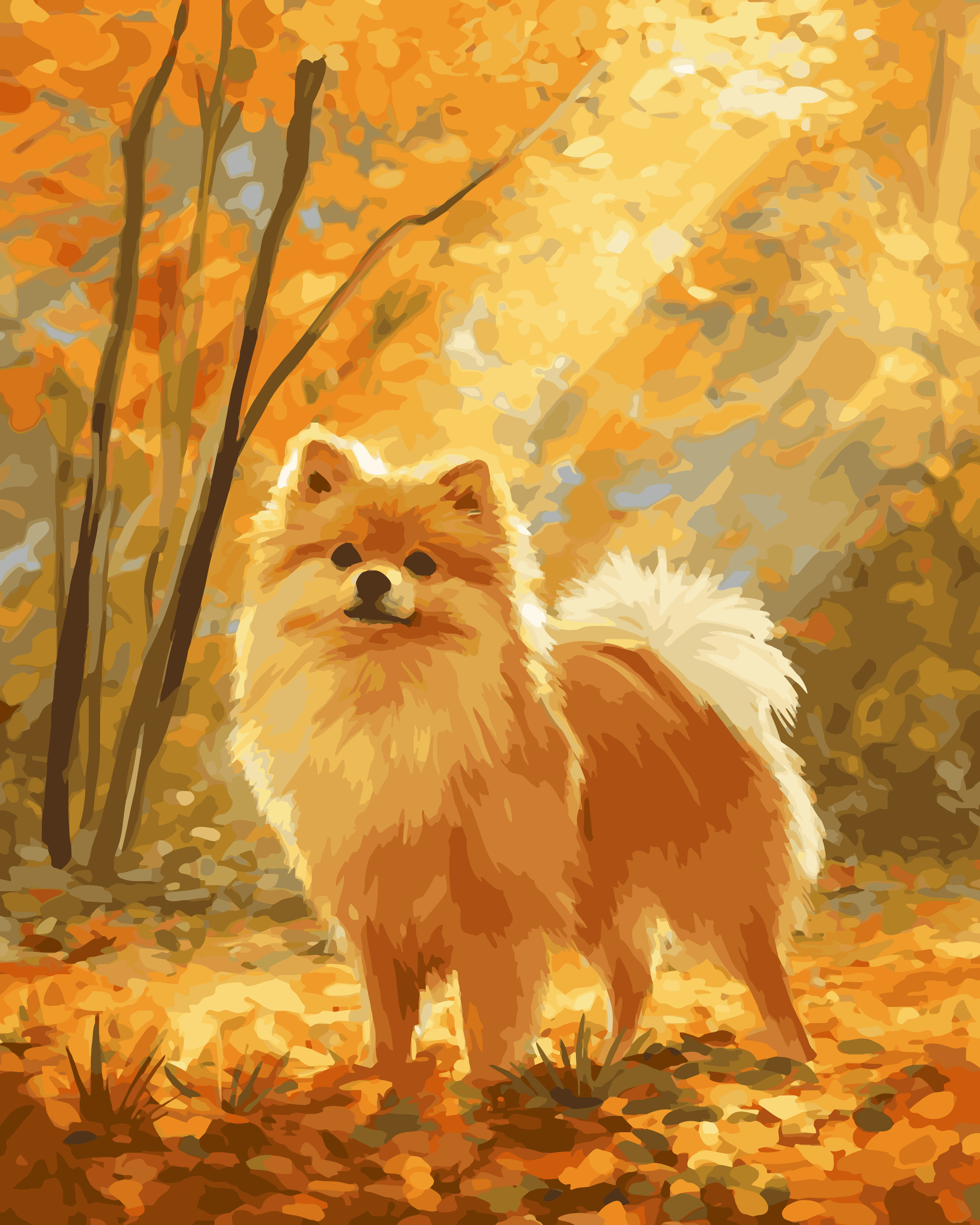 Pomeranian Fall