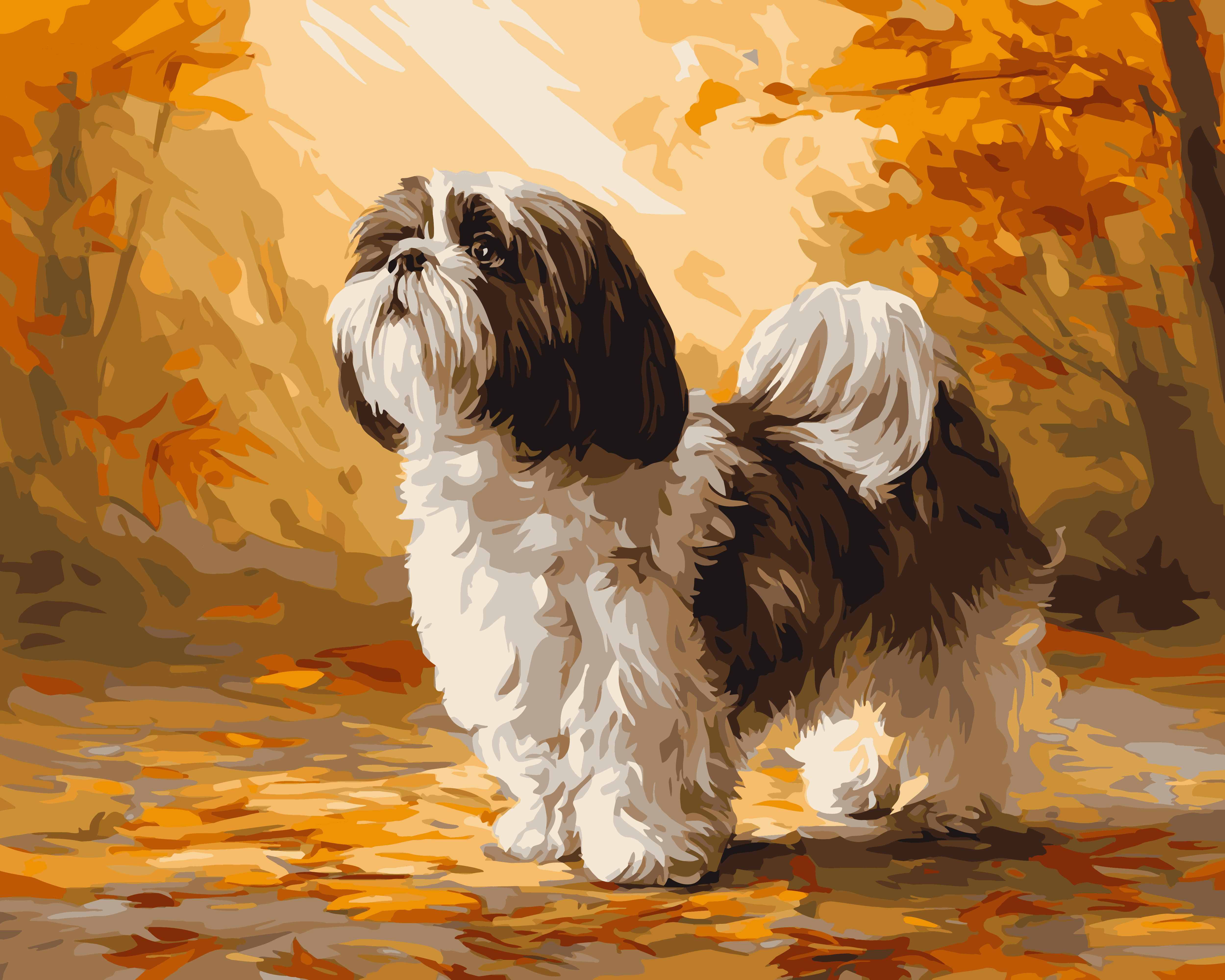 Autumn Shih Tzu