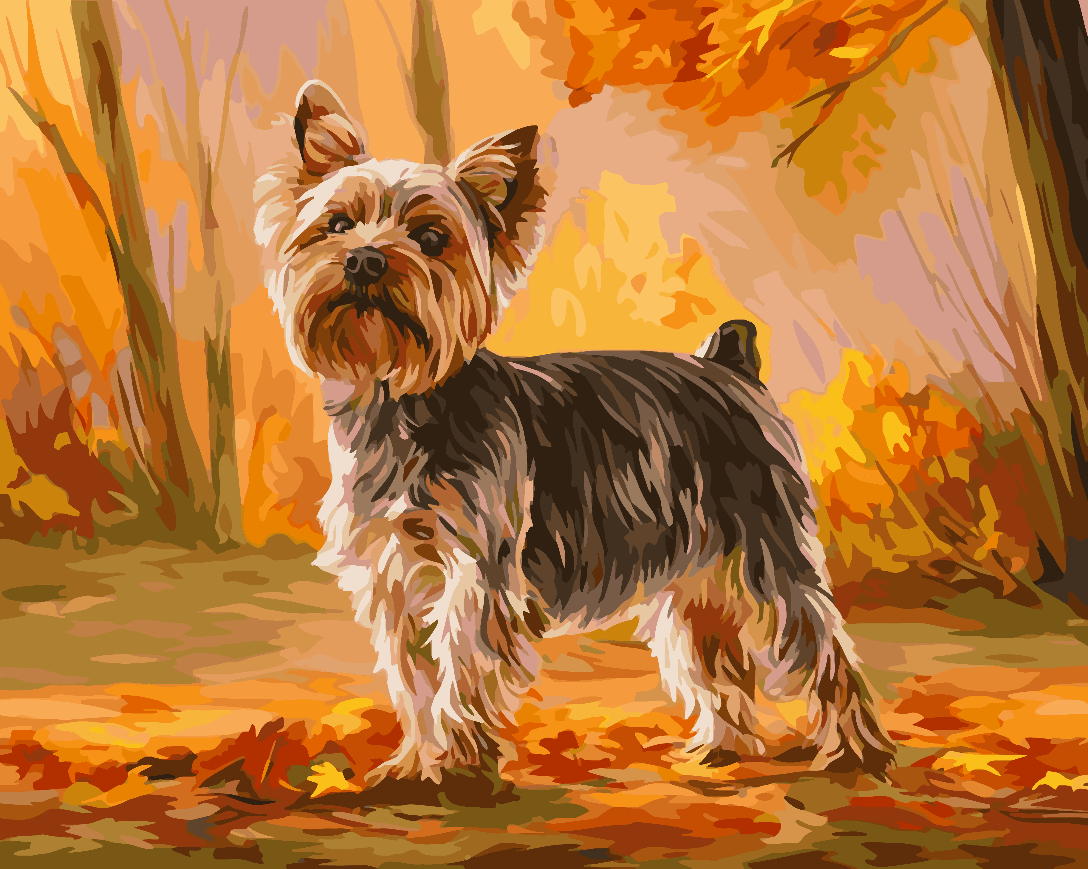Proud Yorkshire Terrier