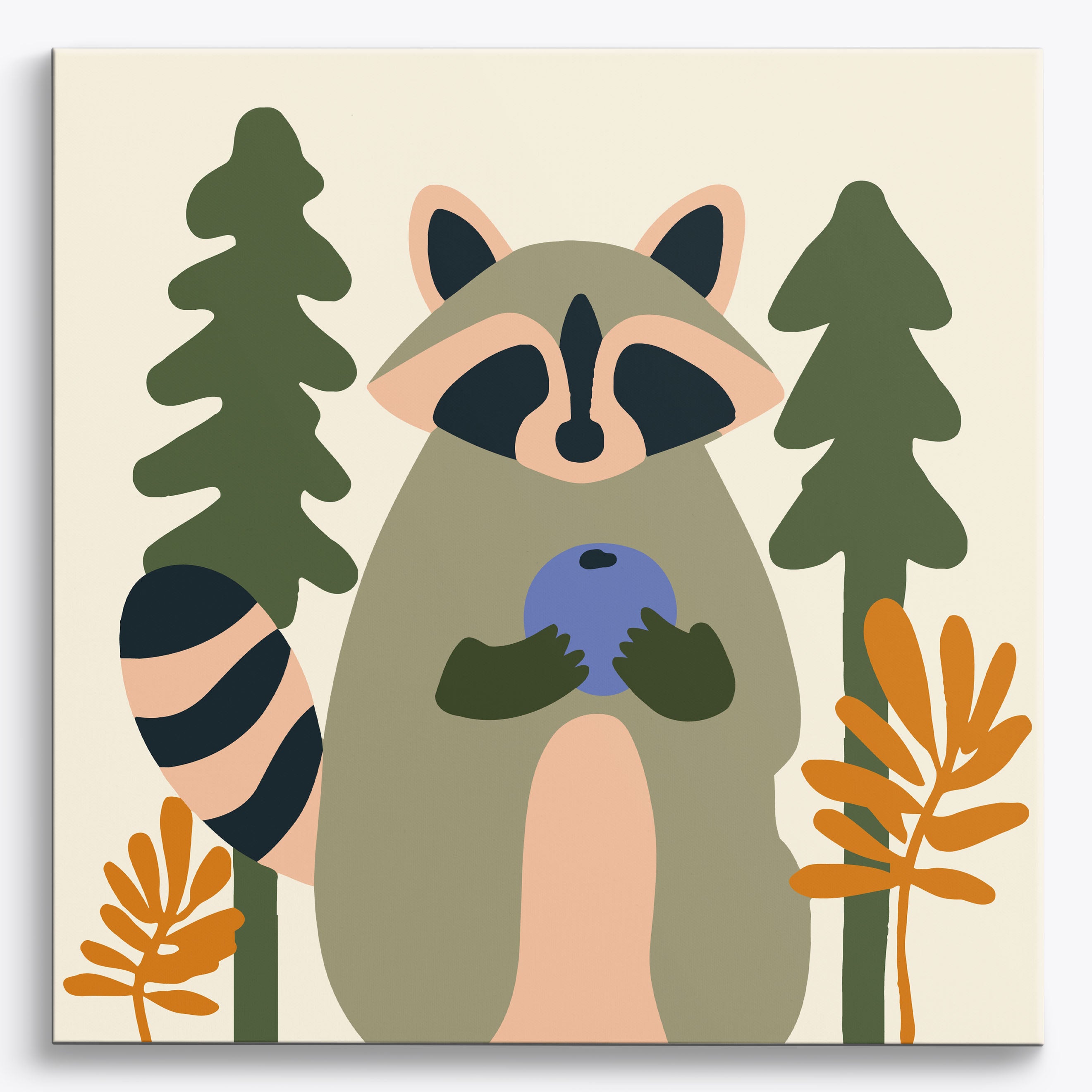 Bold Raccoon Play No Frame / 40x40cm