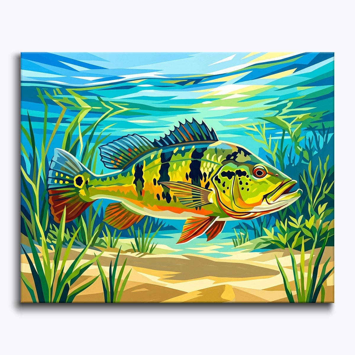 Colorful Bass