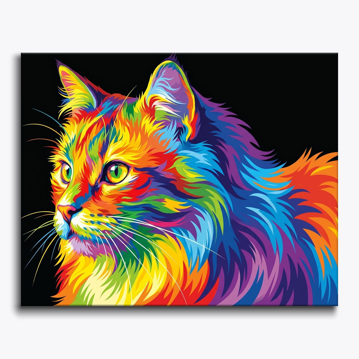 Colorful Cat