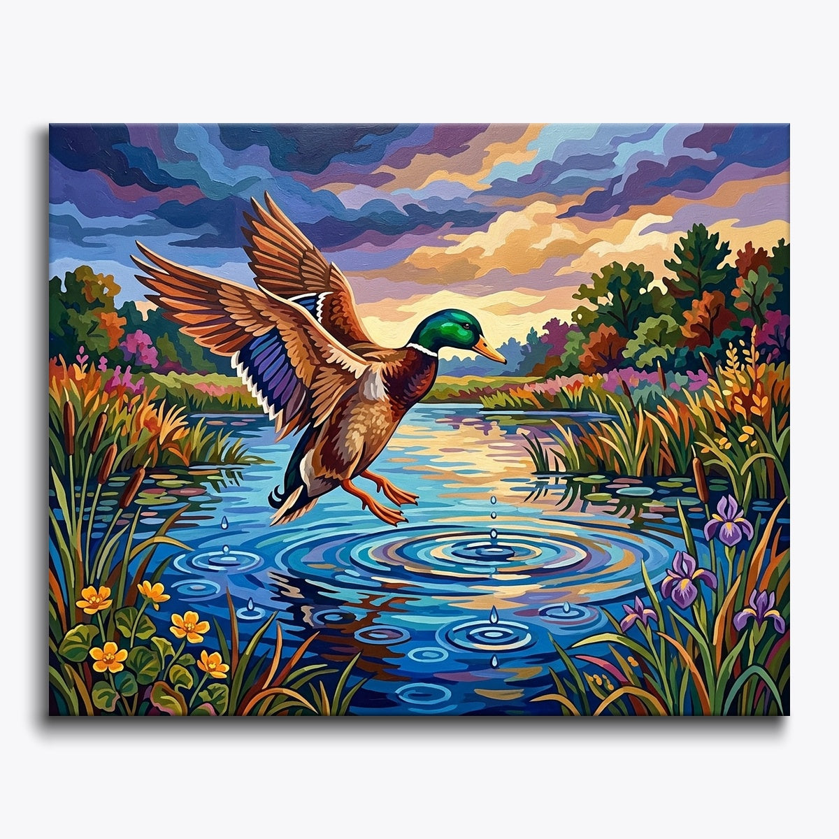 Rain Pond Mallard