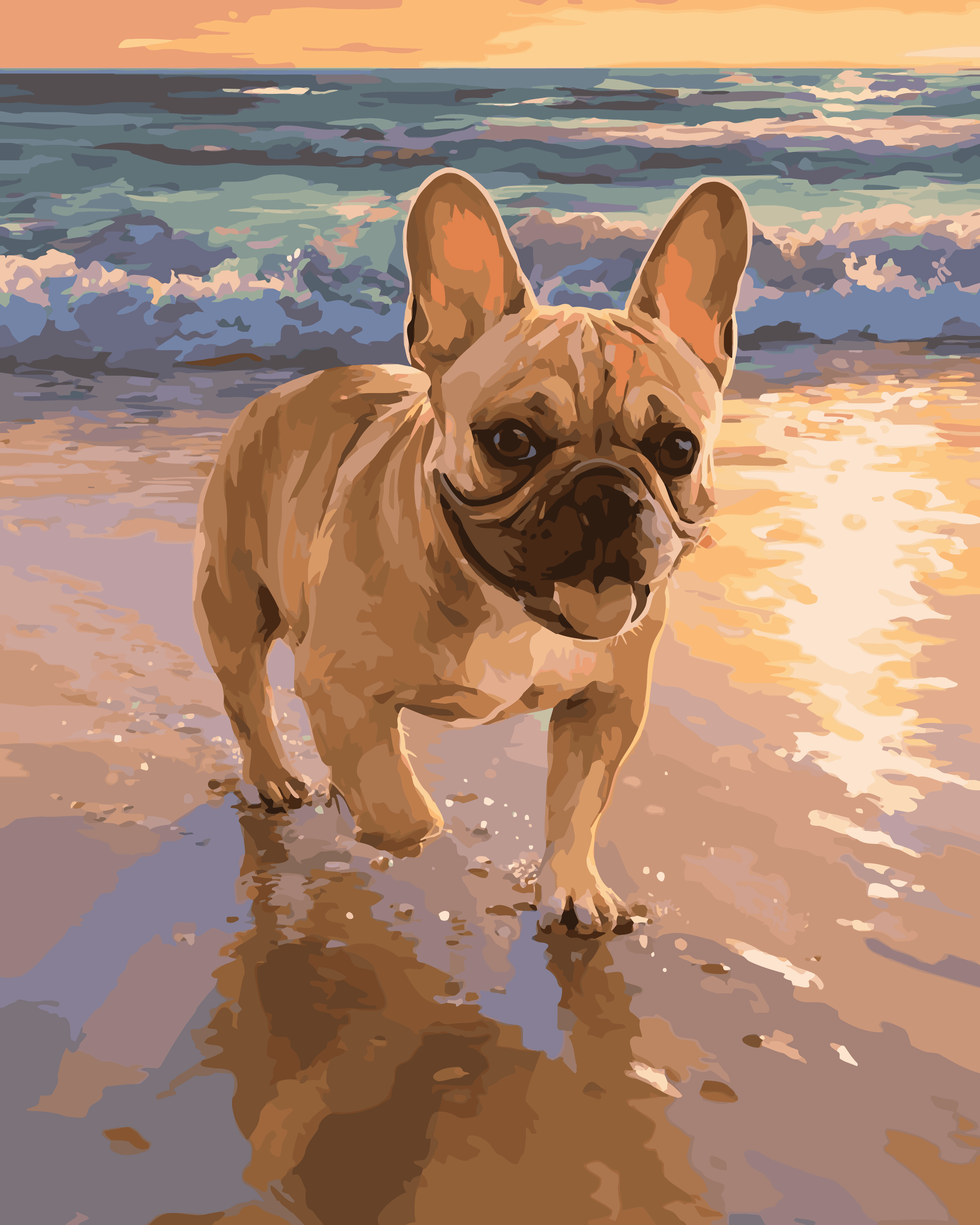 French Bulldog Beach