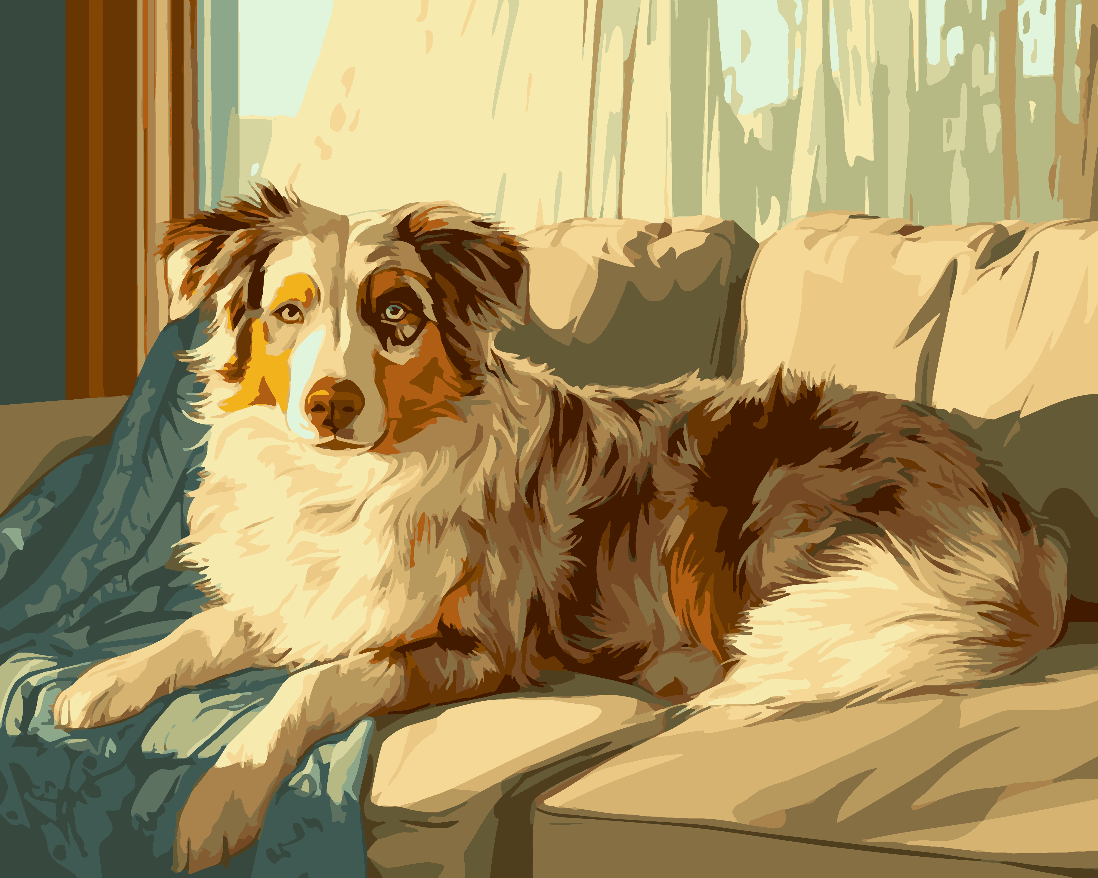 Australian Shepherd Shadows