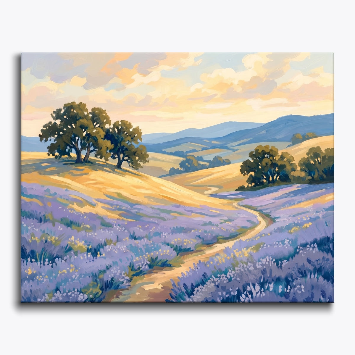 Lavender Fields
