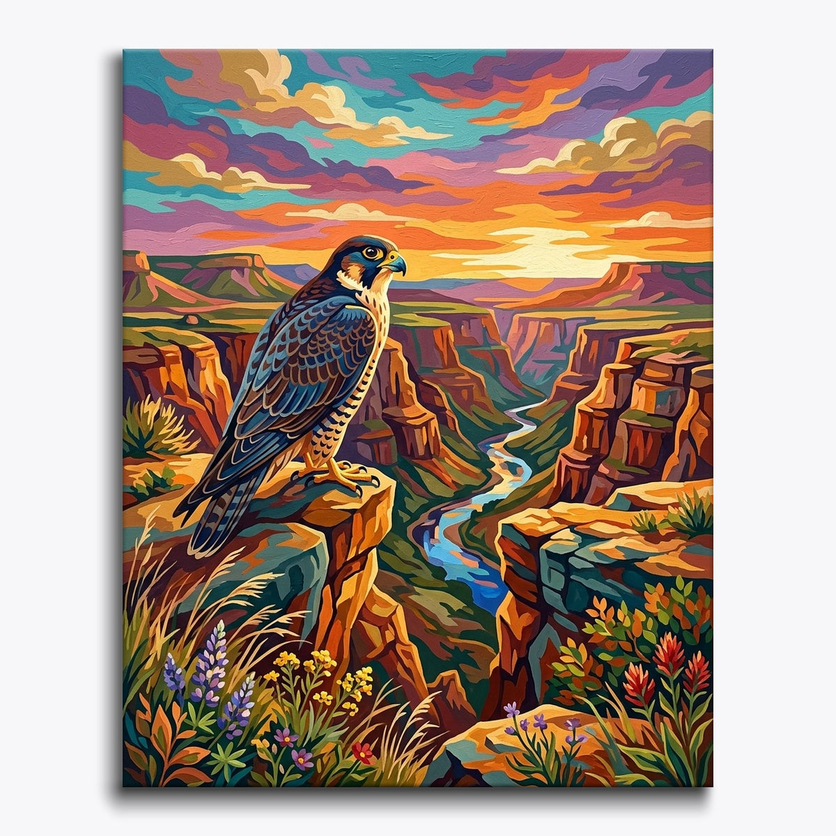 Canyon Peregrine paint by numbers kit