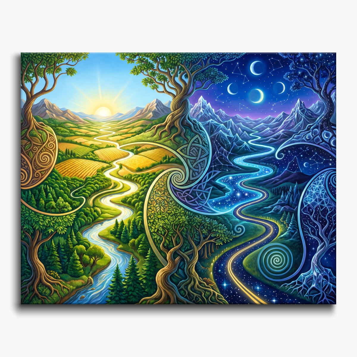 Day and Night Divide