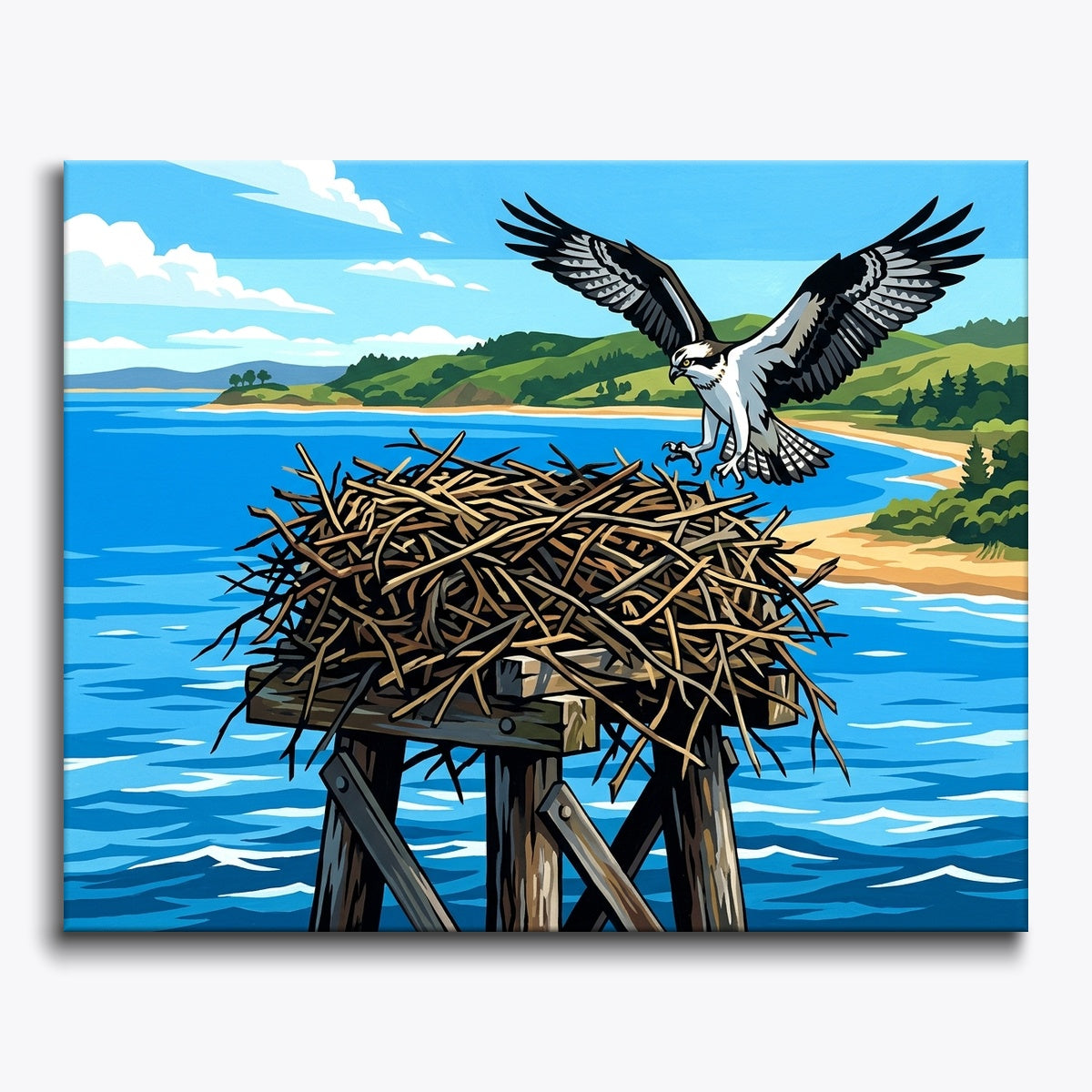 Osprey Nesting