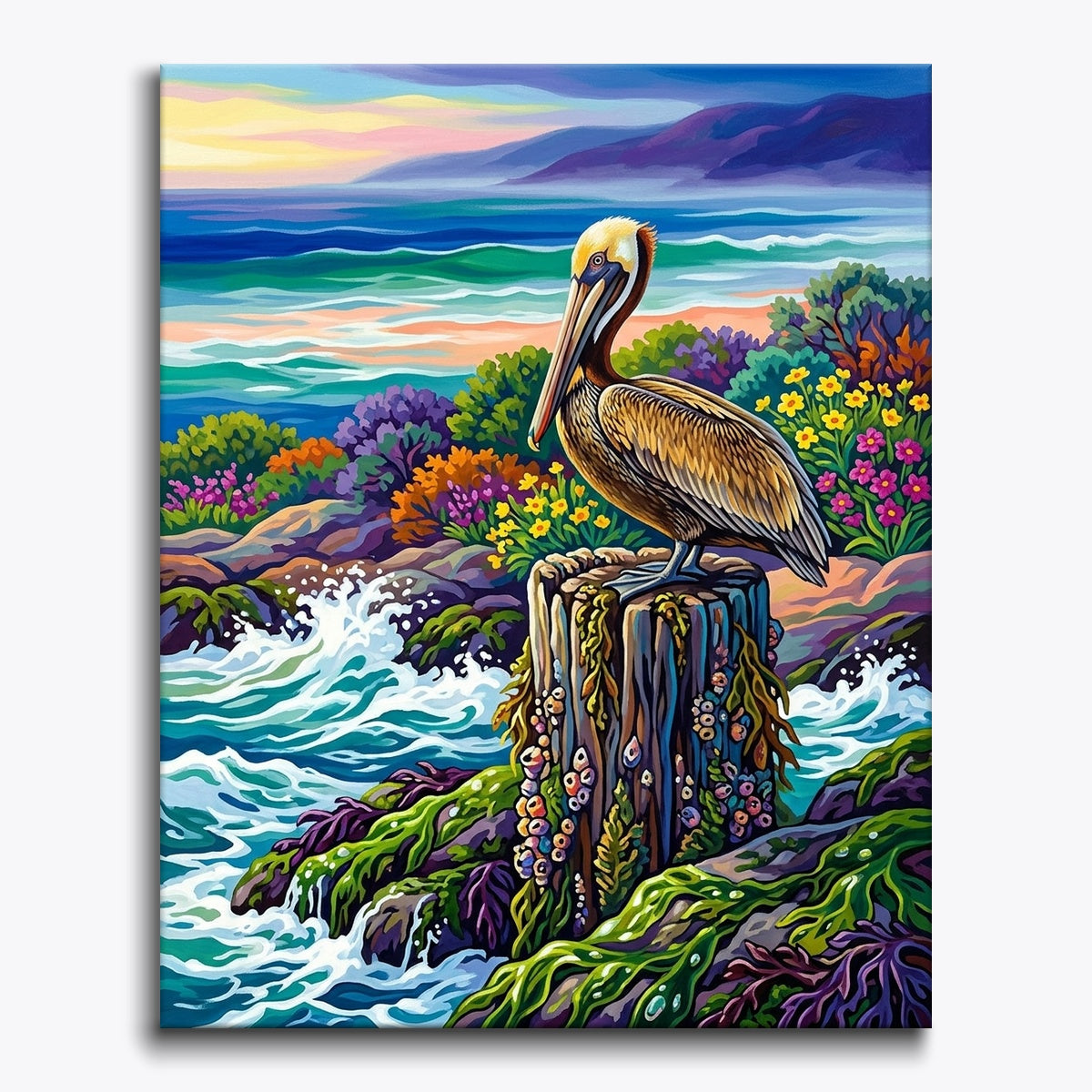 Coastal Pelican paint by numbers kit