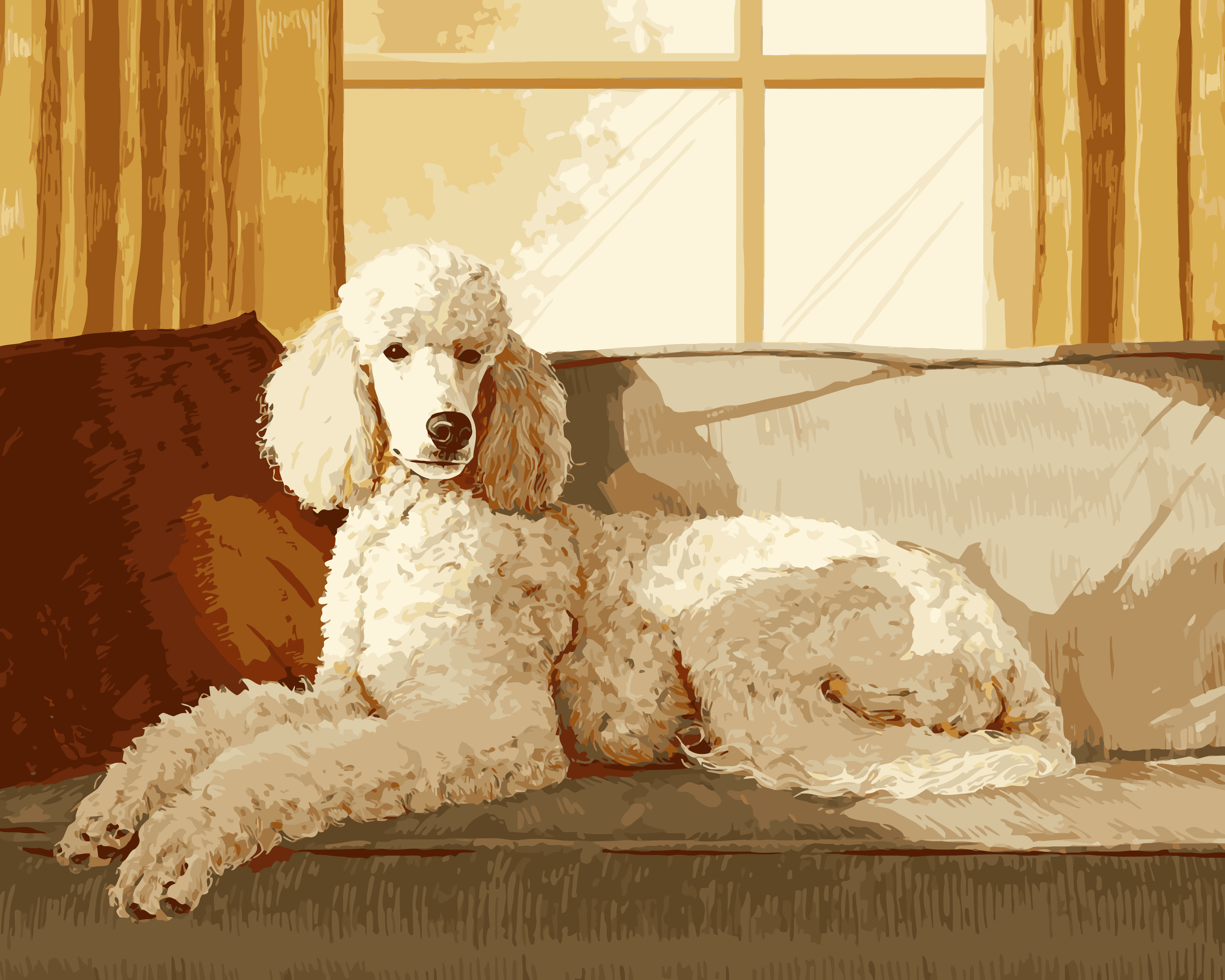 Comfy Poodle