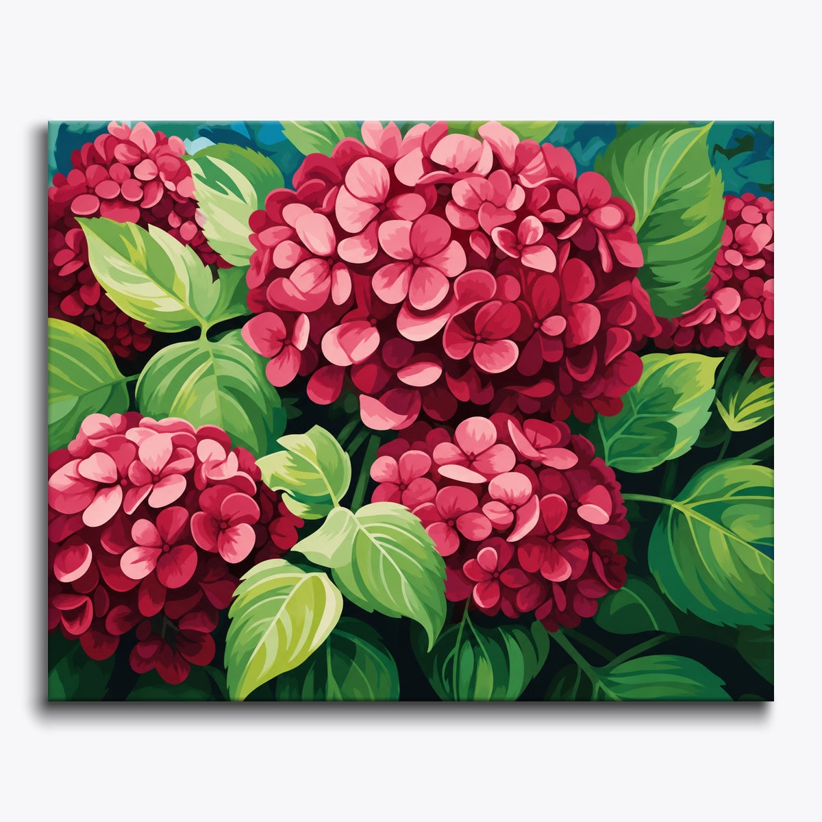 Ruby Hydrangeas