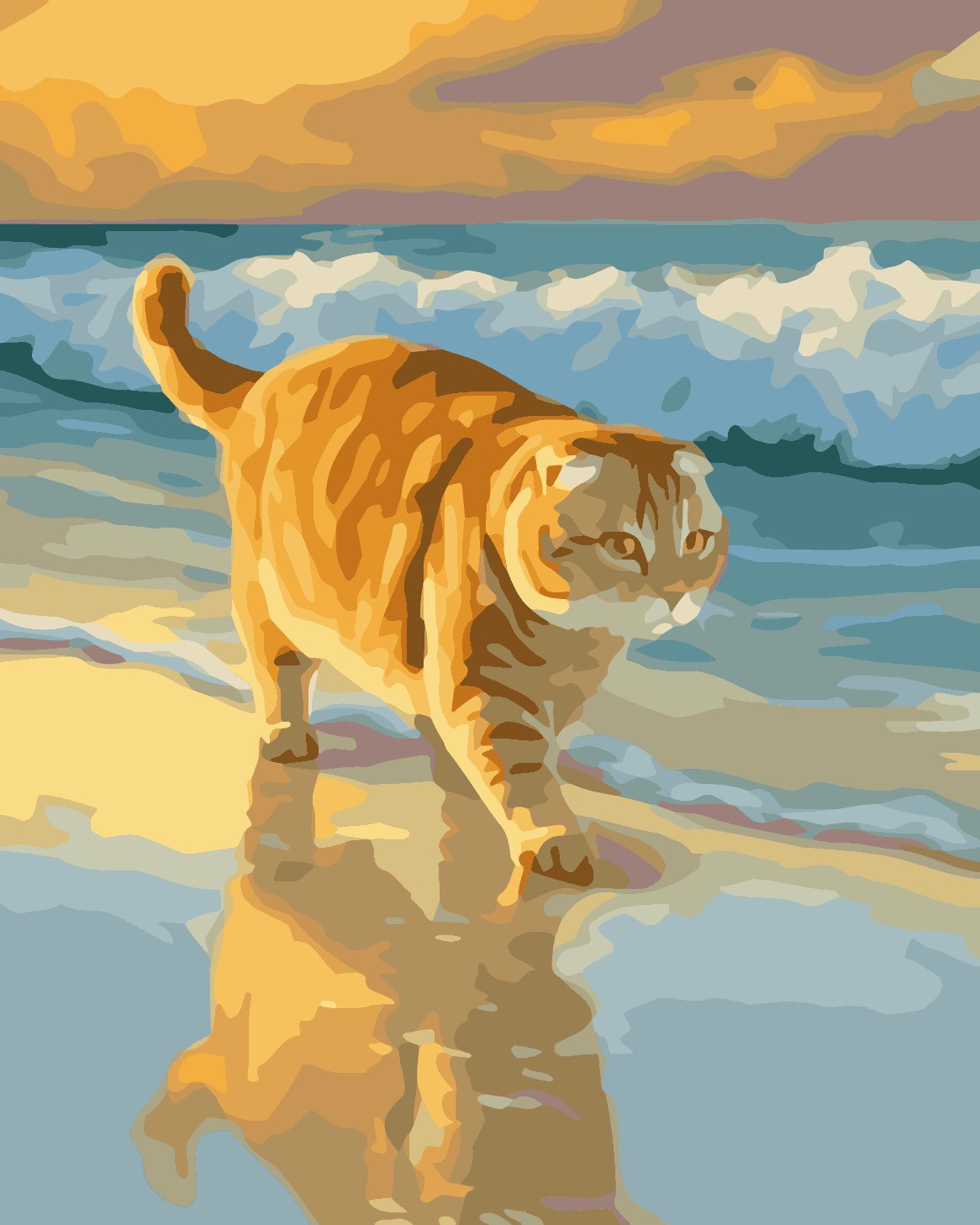 Scottish Fold Beach