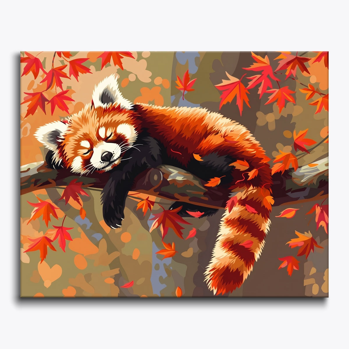 Sleeping Red Panda