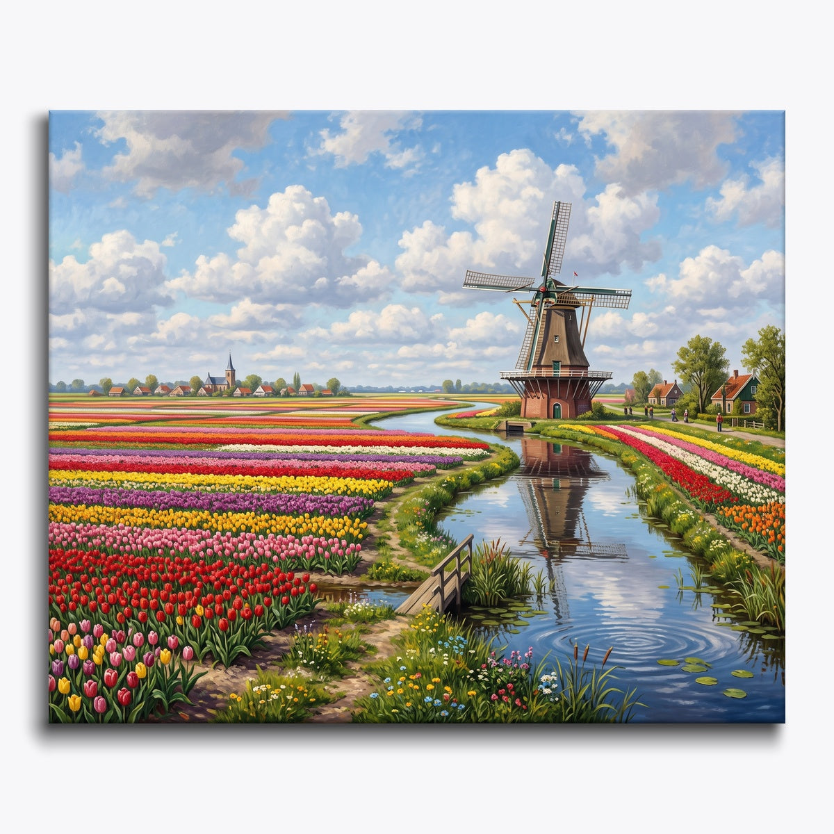 Tulip Splendor
