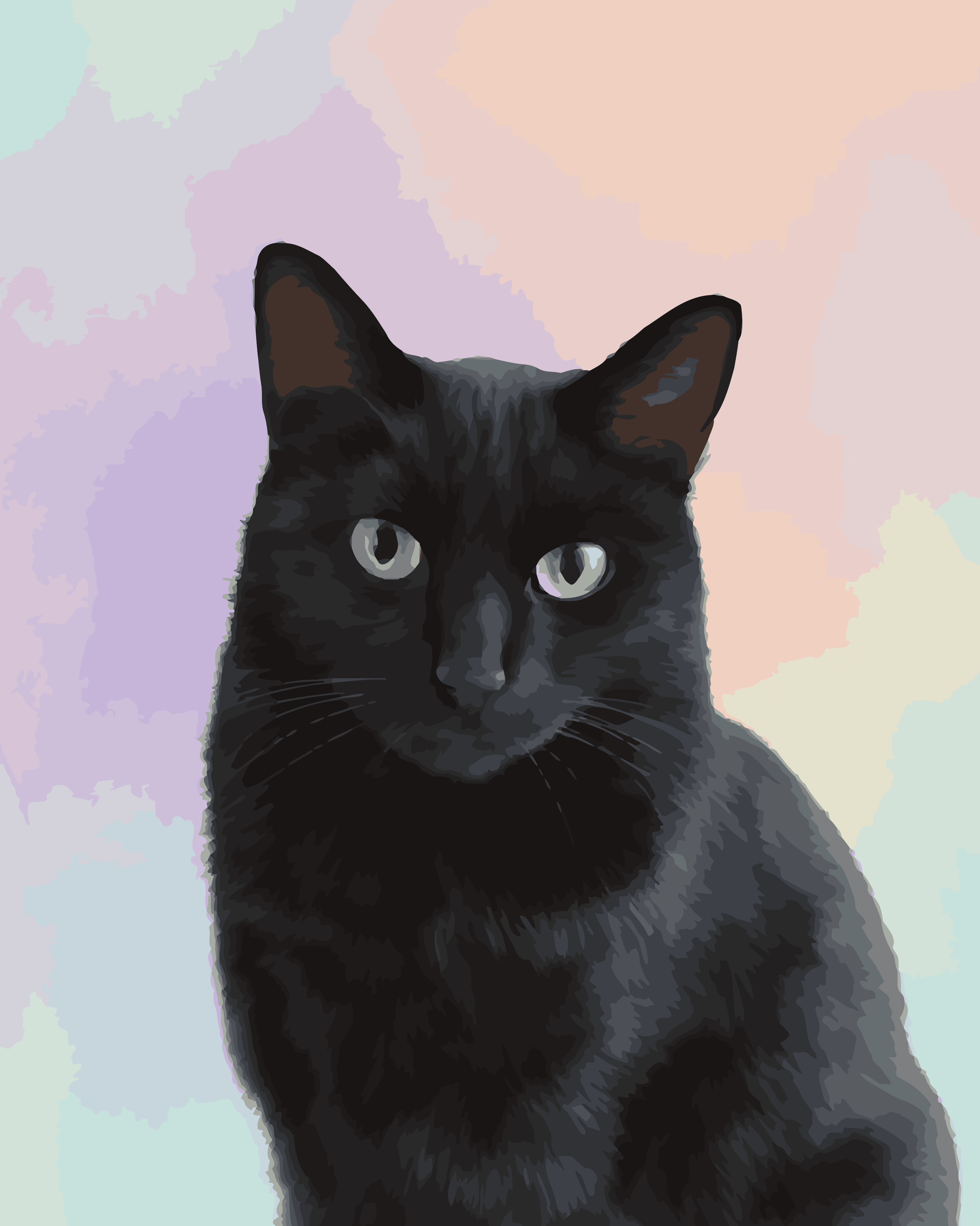 Black Cat Studio Portrait