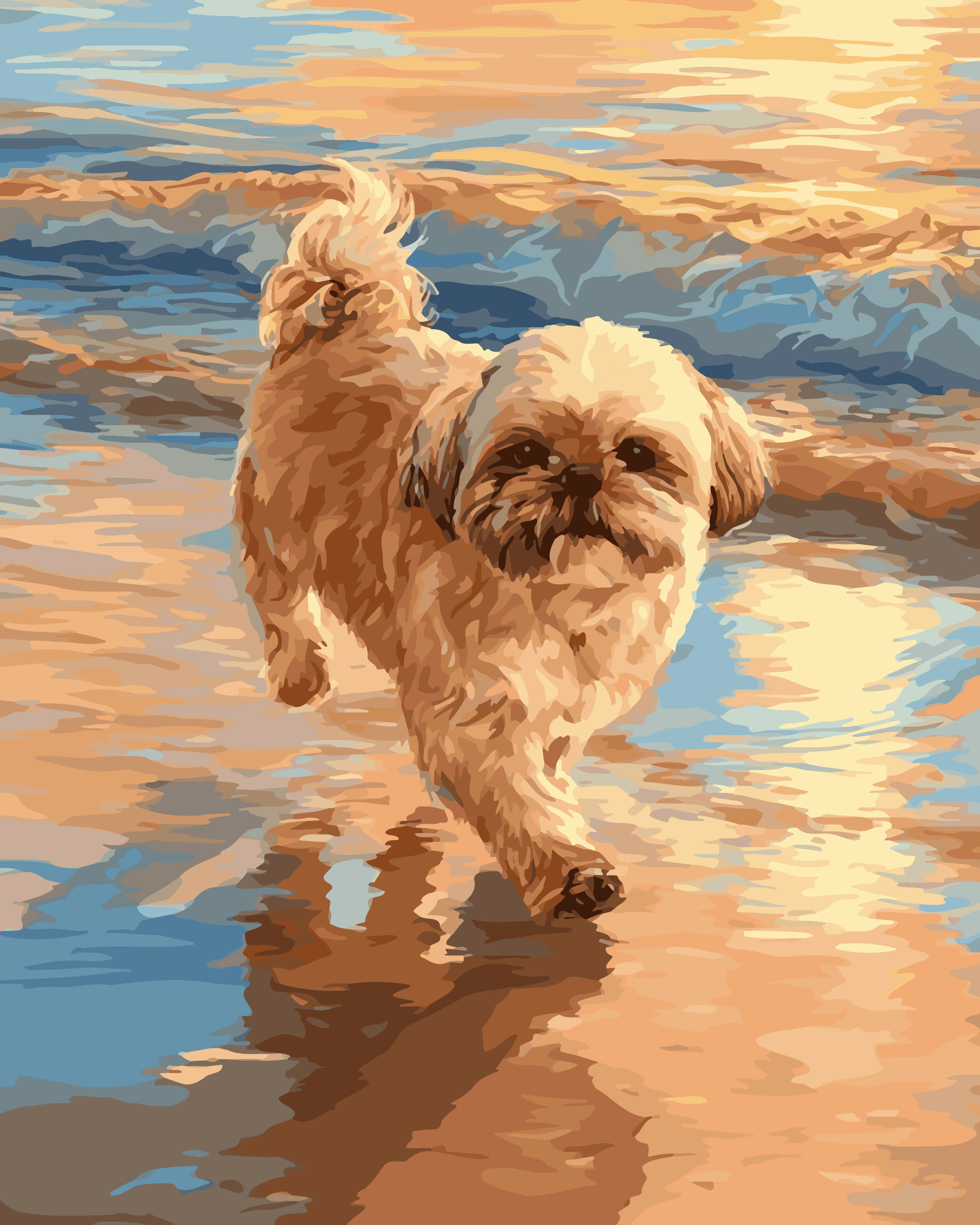 Wavy Lhasa Apso