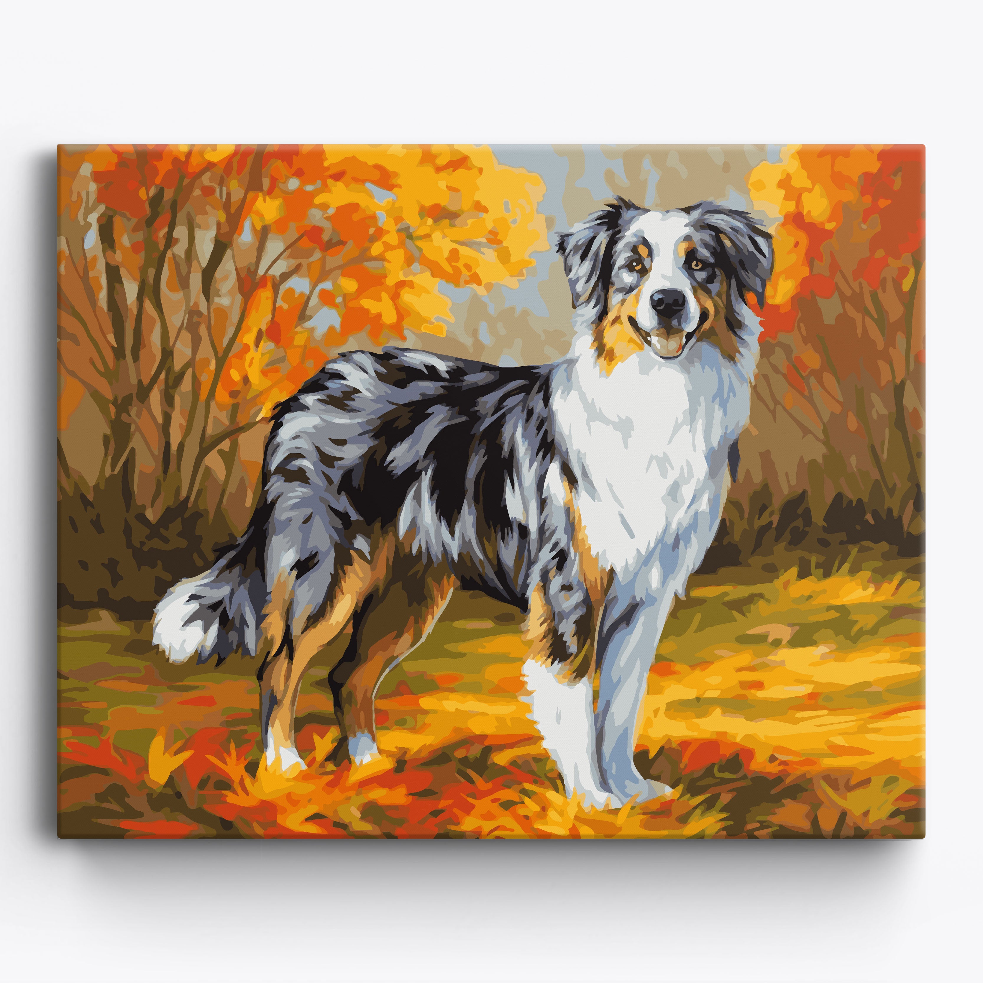 Autumn Australian Shepherd Framed / 50x40cm
