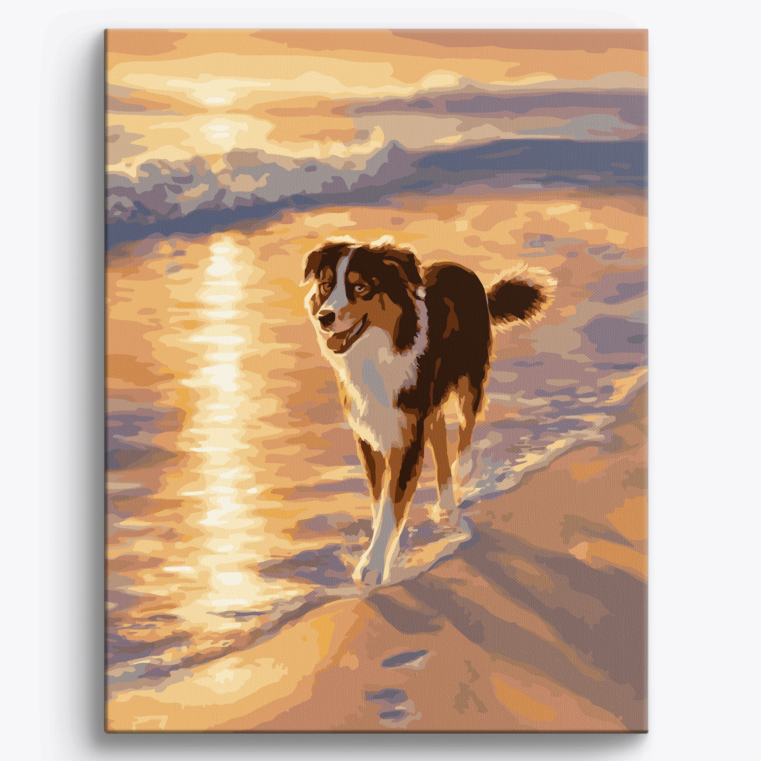 Australian Shepherd Shoreline No Frame / 40x50cm