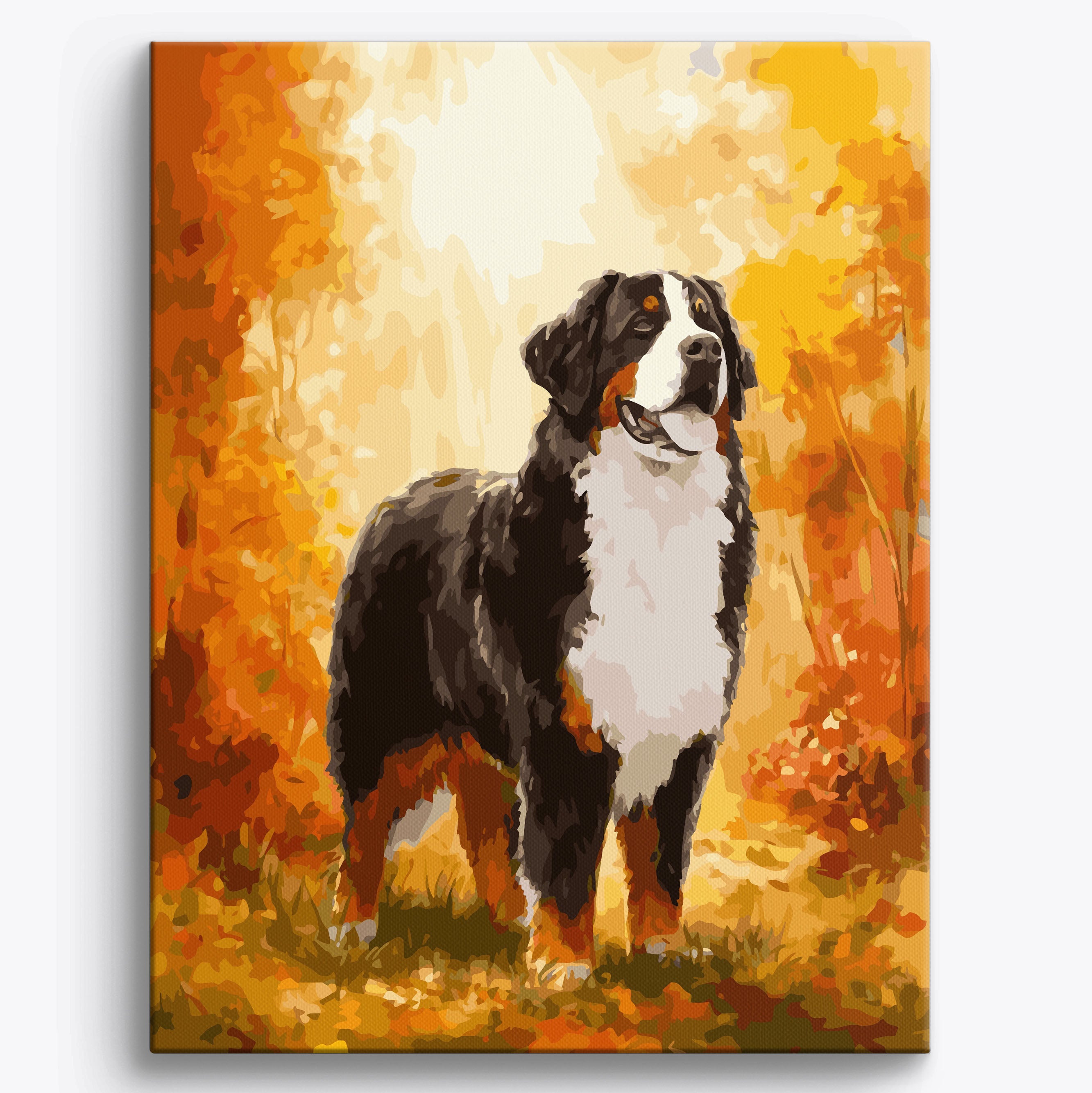 Bernese Autumn Framed / 40x50cm