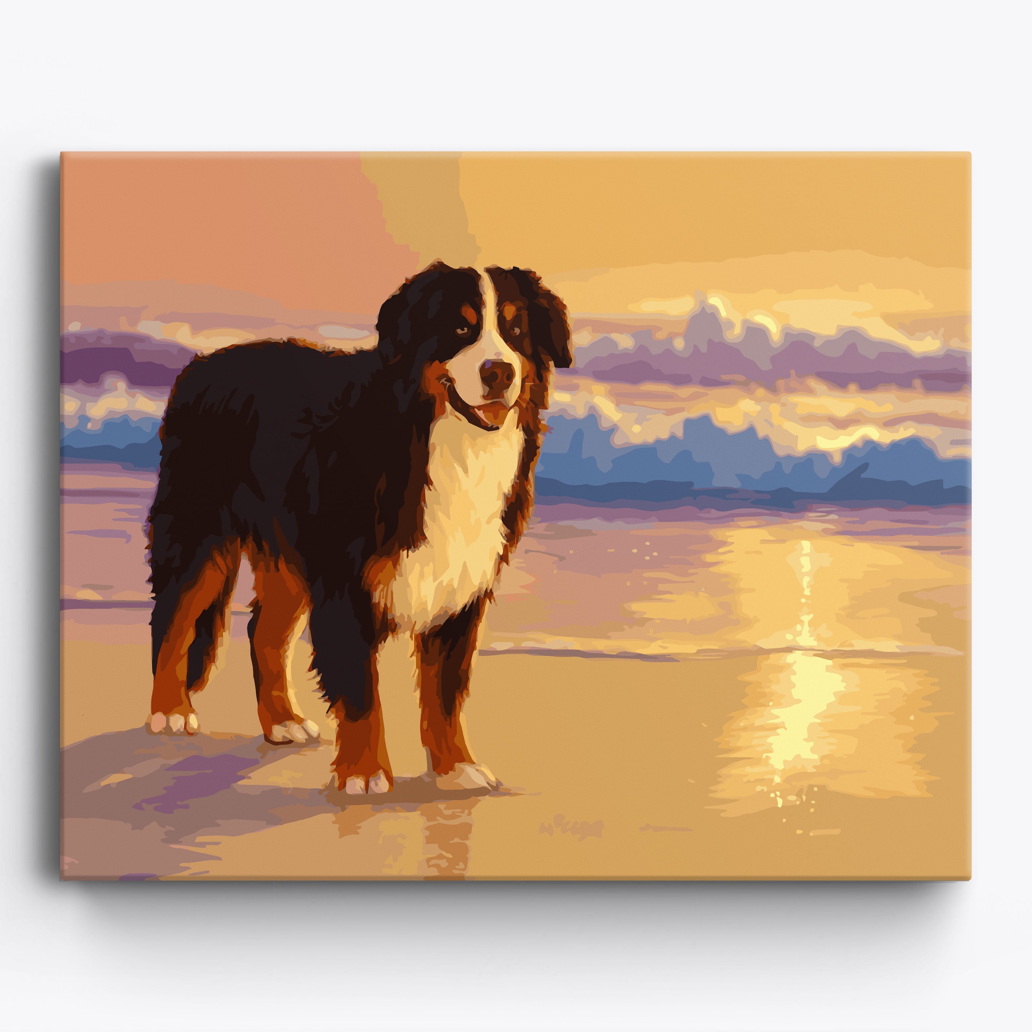 Bernese Beach Framed / 50x40cm