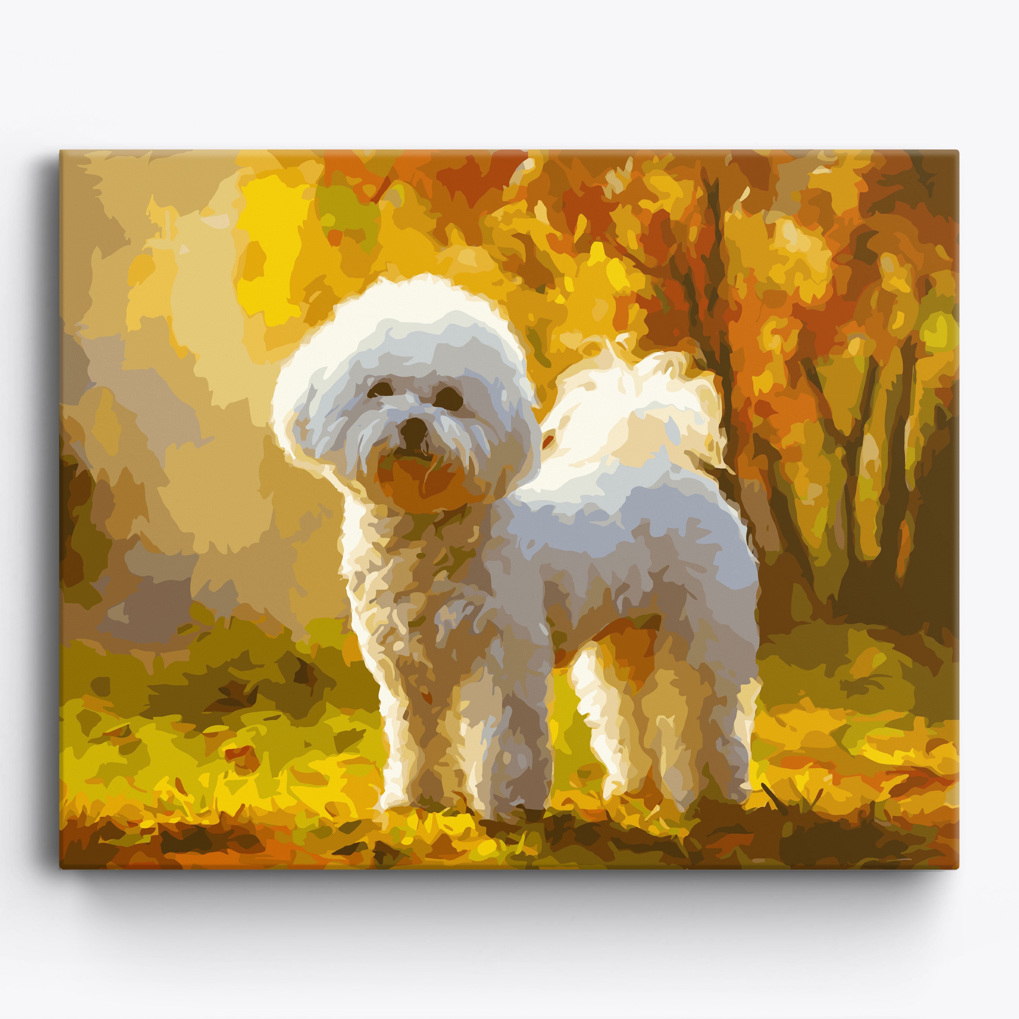 Autumn Bichon Frise No Frame / 50x40cm
