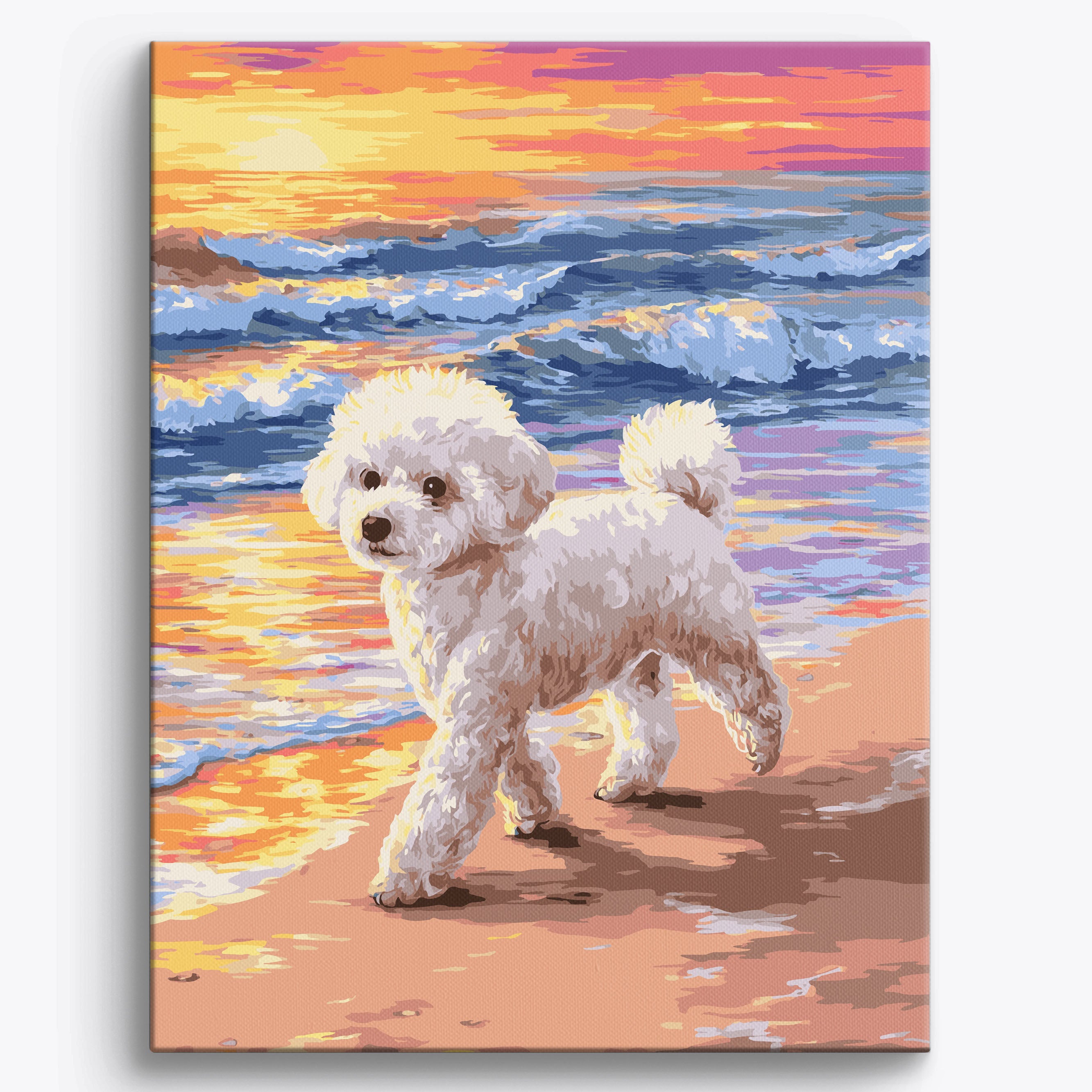 Bichon Frise Beach Framed / 40x50cm