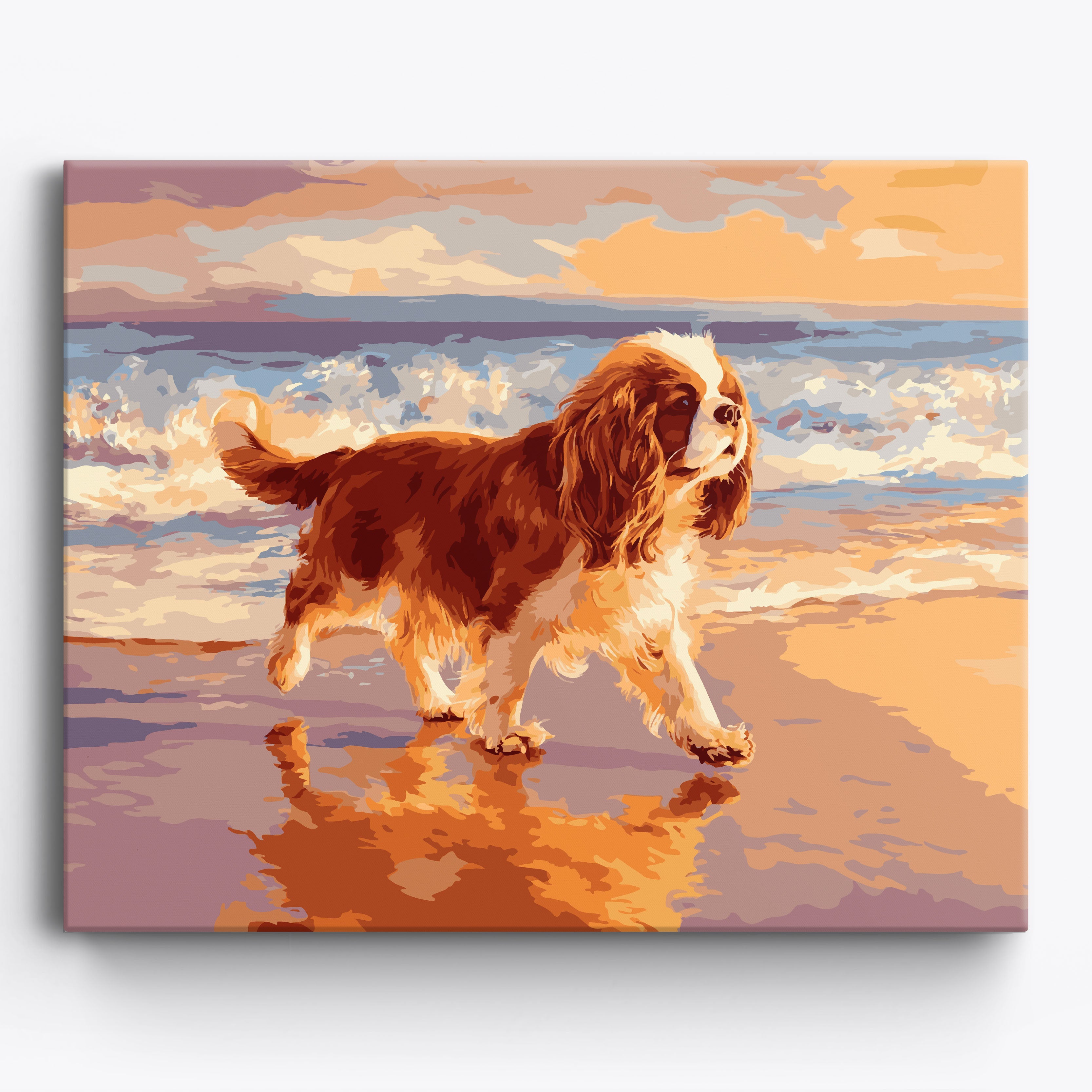Cavalier King Coastline Framed / 50x40cm