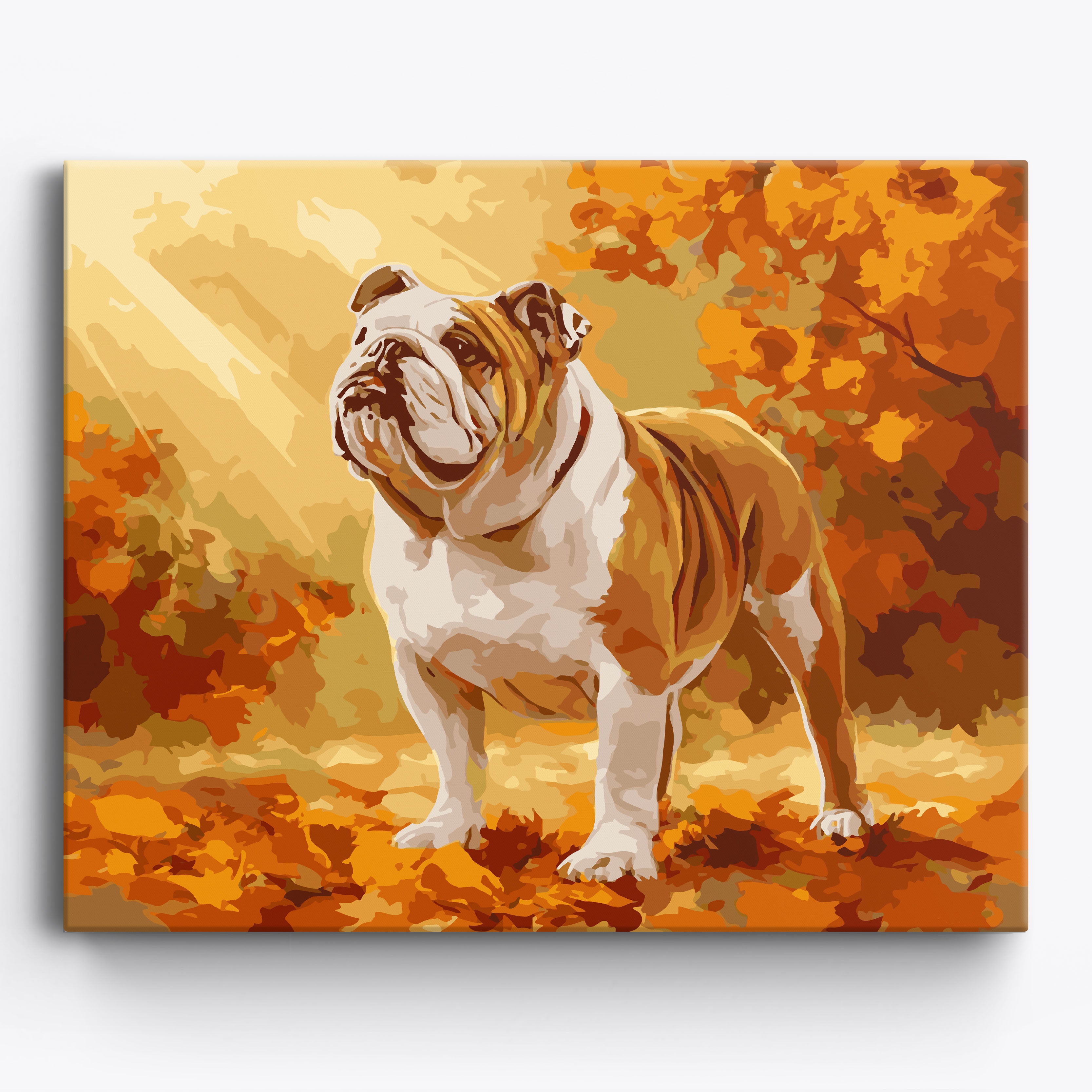 Autumn English Bulldog Framed / 50x40cm