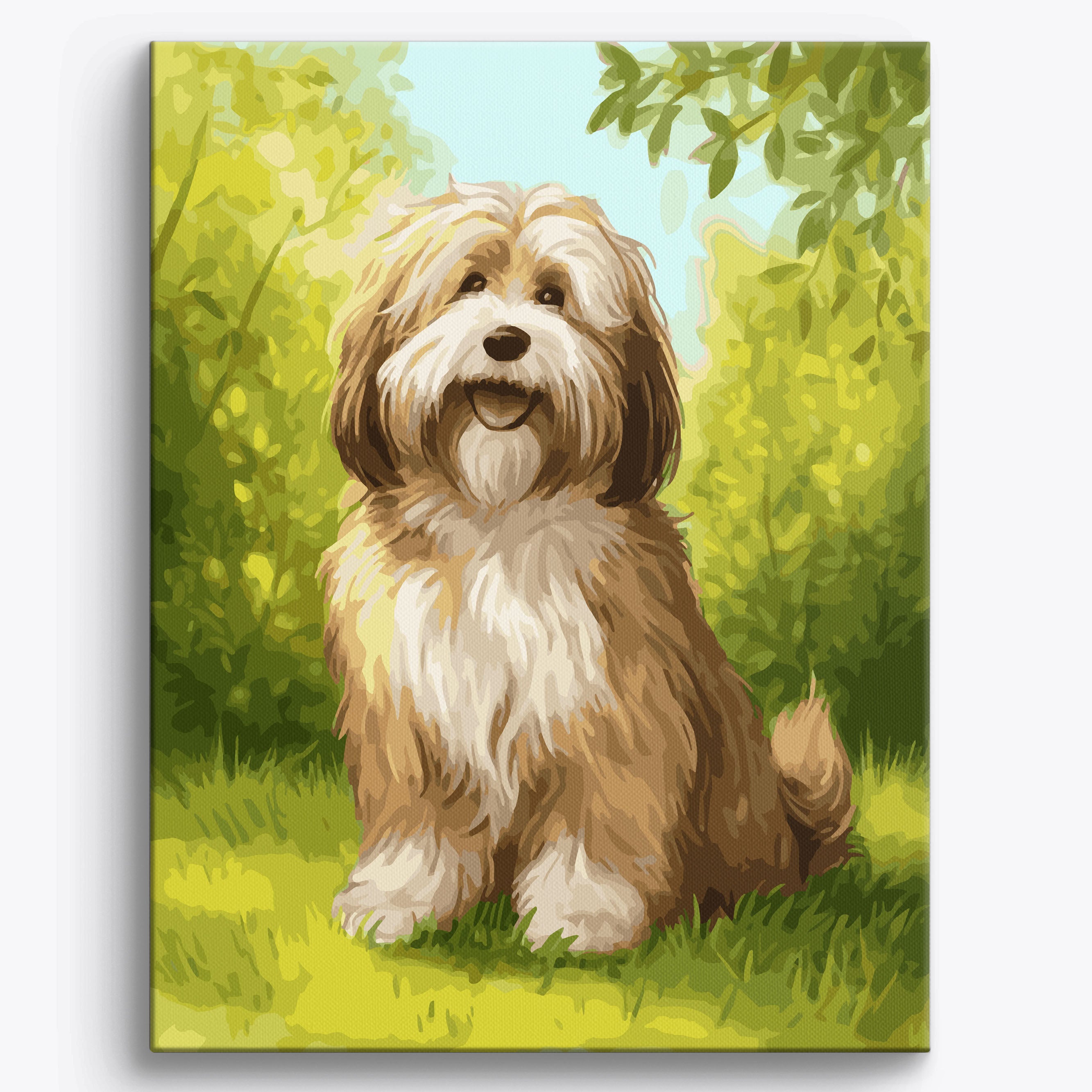 Havanese Garden Framed / 40x50cm