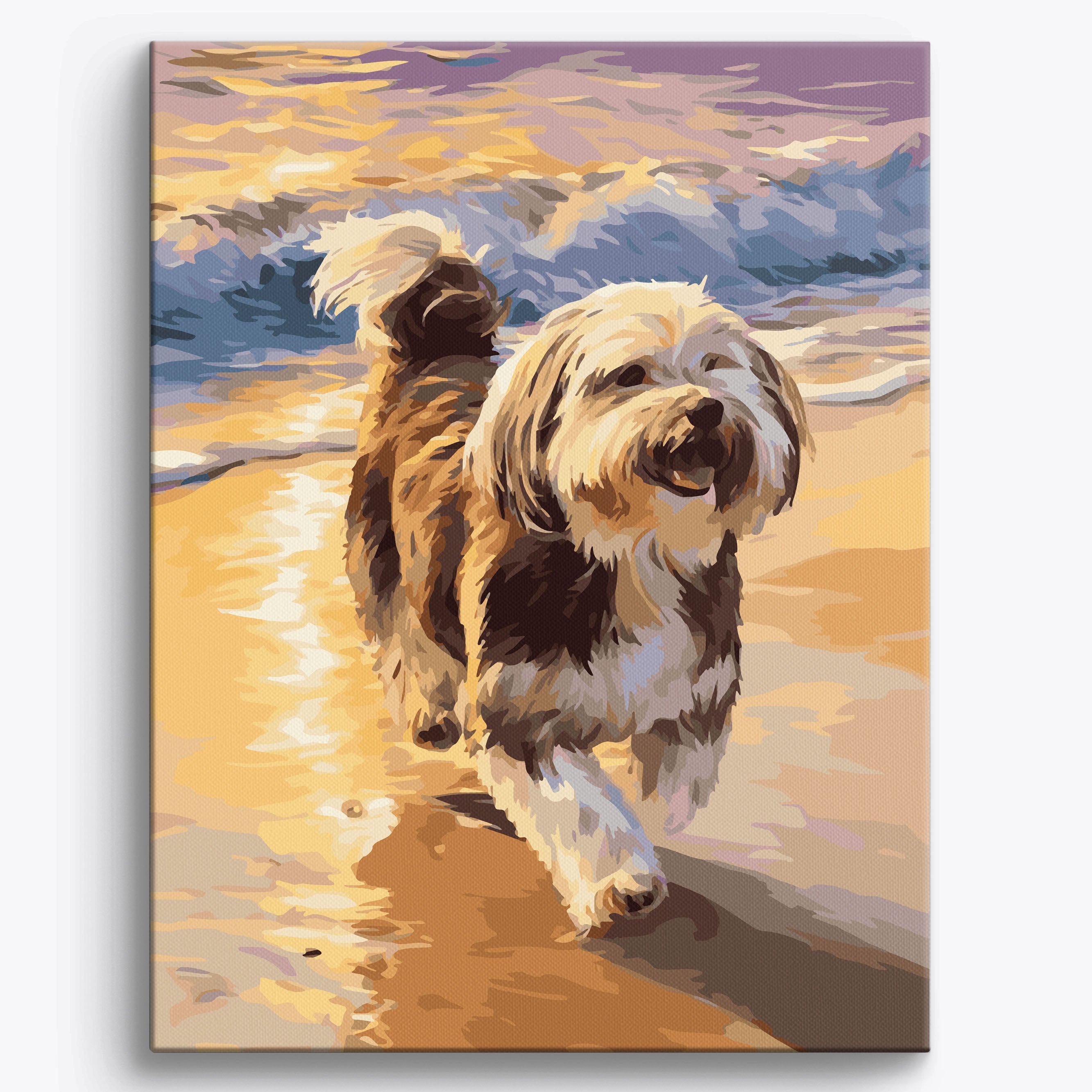 Havanese Beach No Frame / 40x50cm