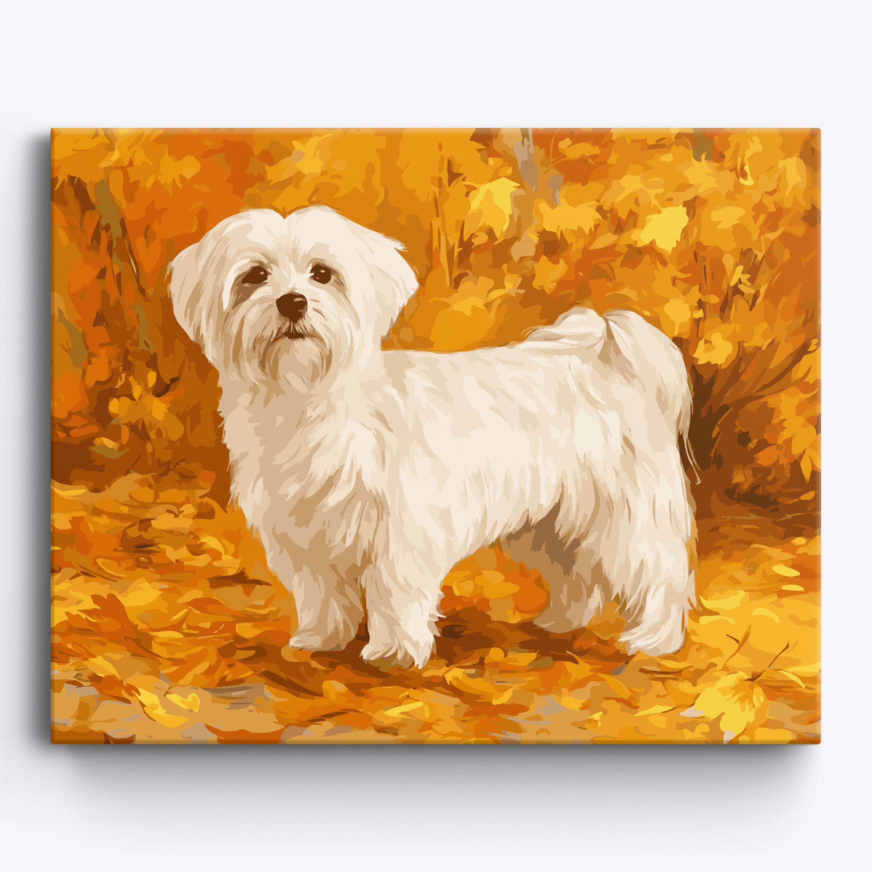 Fall Maltese Framed / 50x40cm